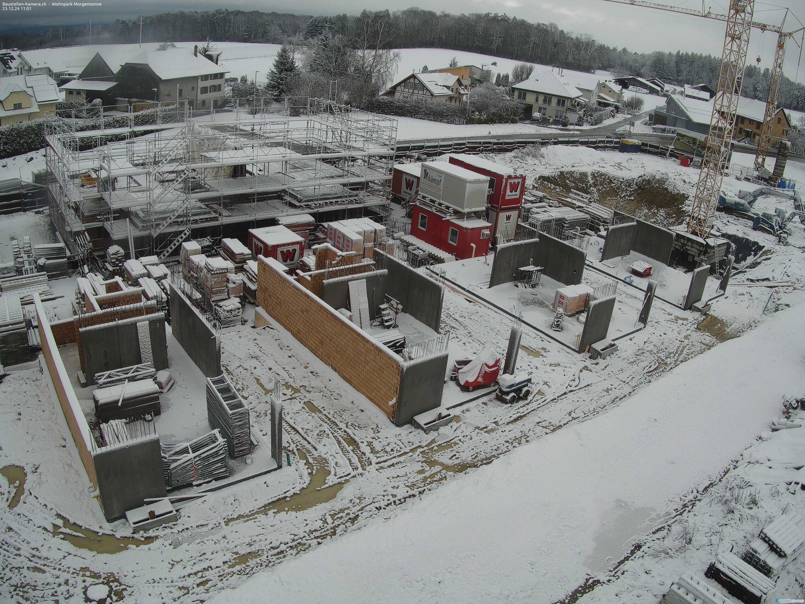Morgensonne 23.12.2024 11:15:03
