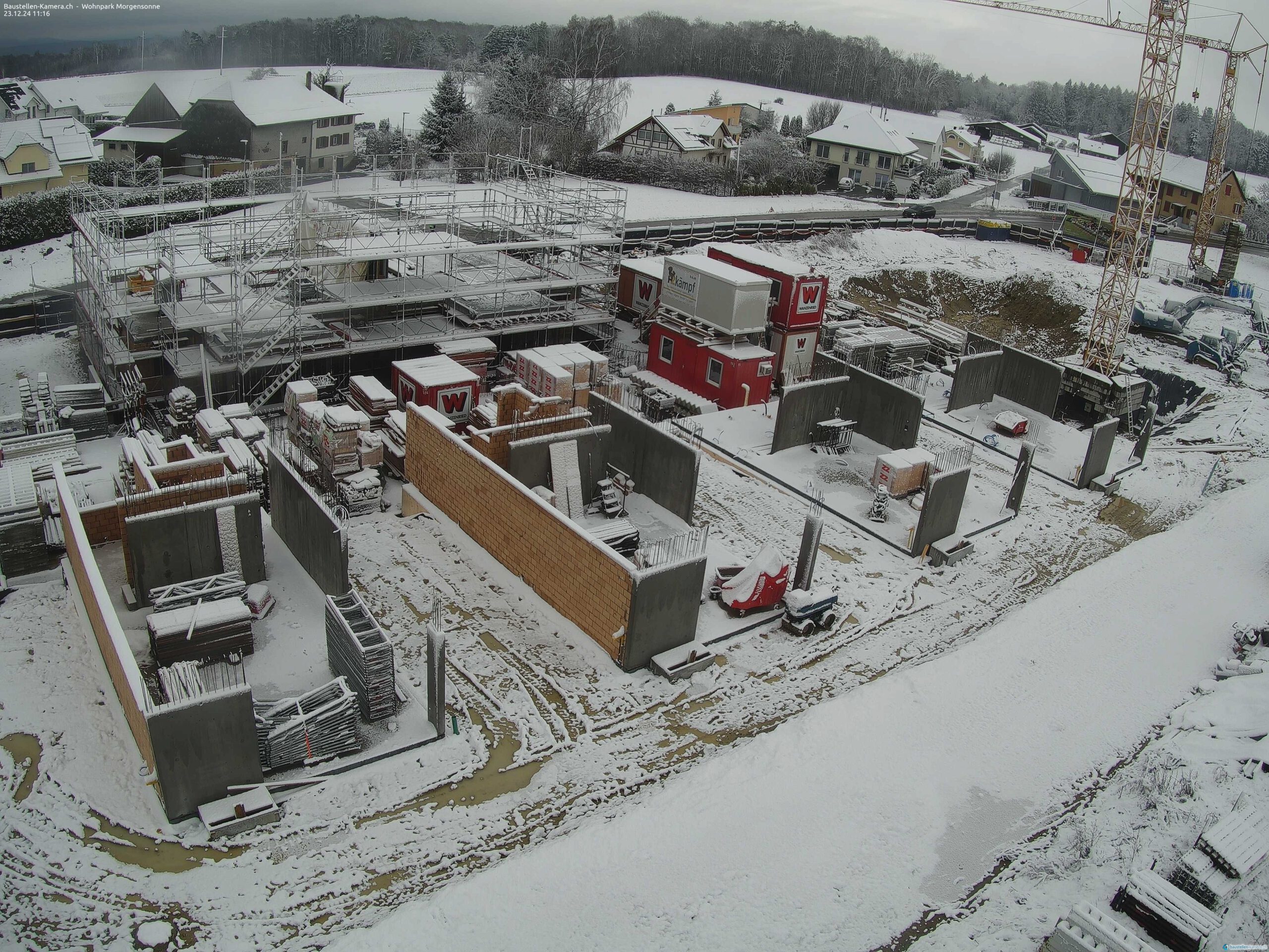 Morgensonne 23.12.2024 11:30:03