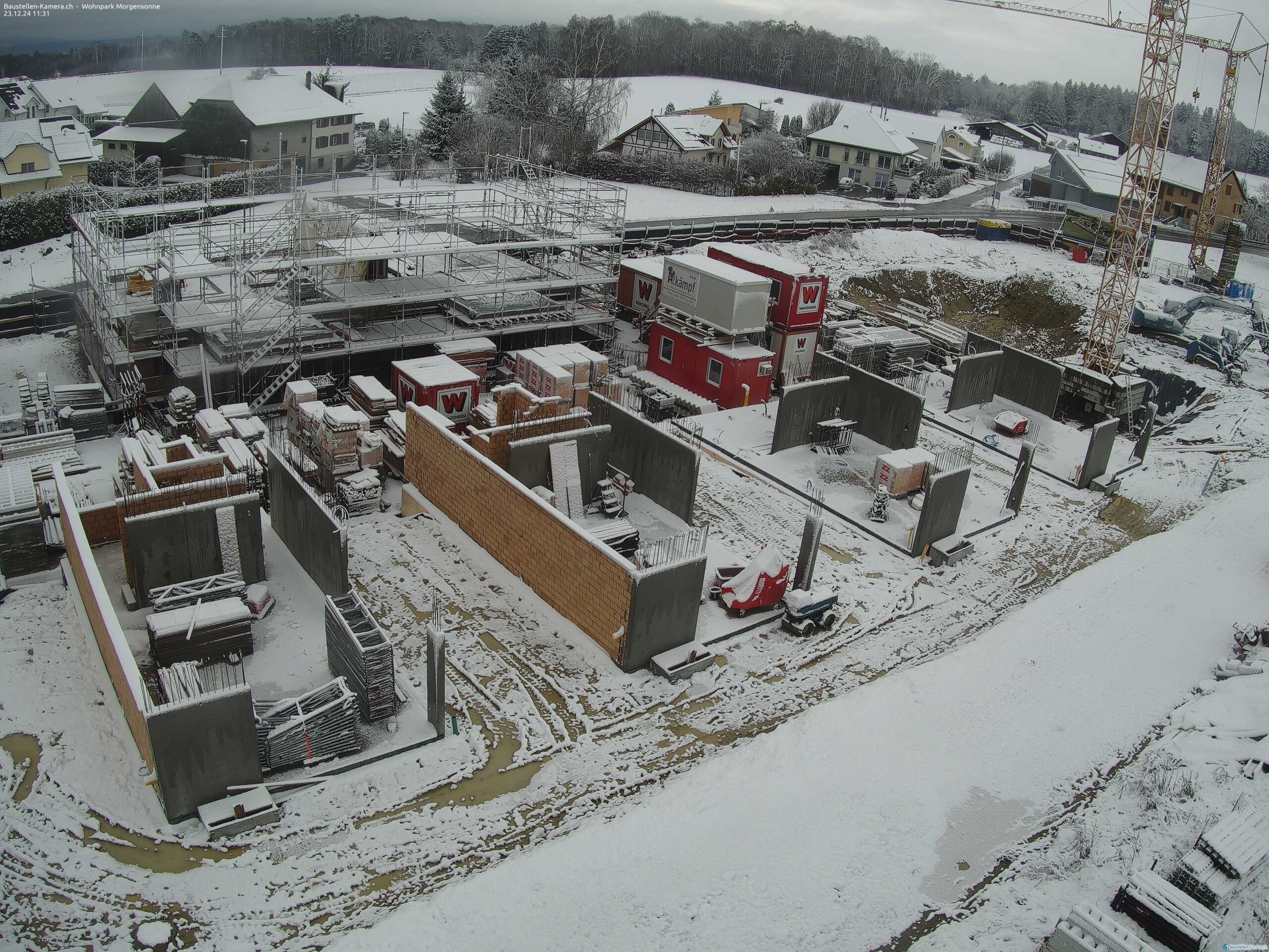 Morgensonne 23.12.2024 11:45:04