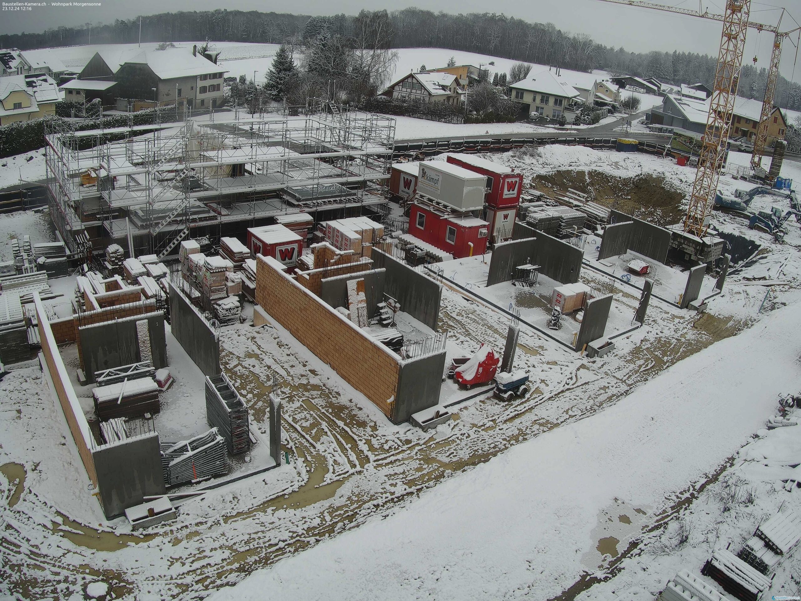 Morgensonne 23.12.2024 12:30:03