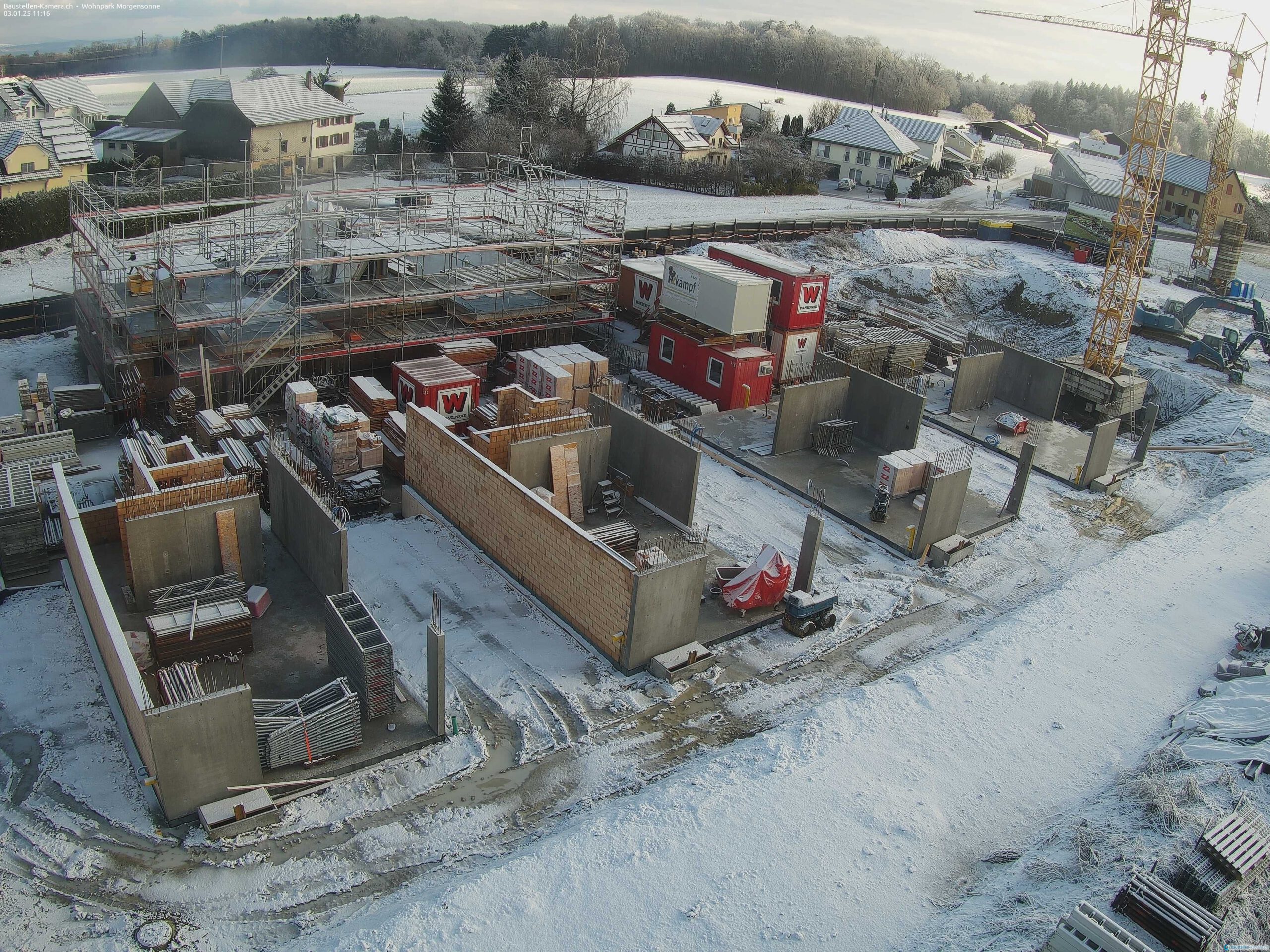 Morgensonne 03.01.2025 11:30:03