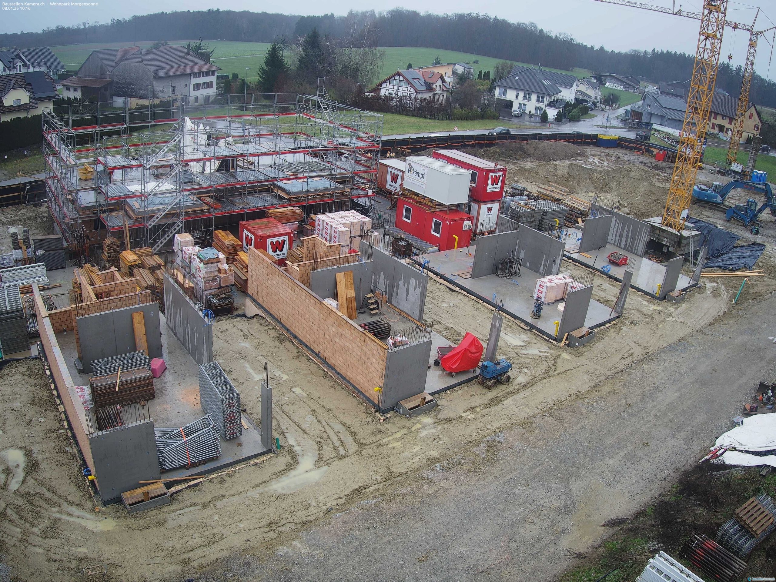 Morgensonne 08.01.2025 10:30:03