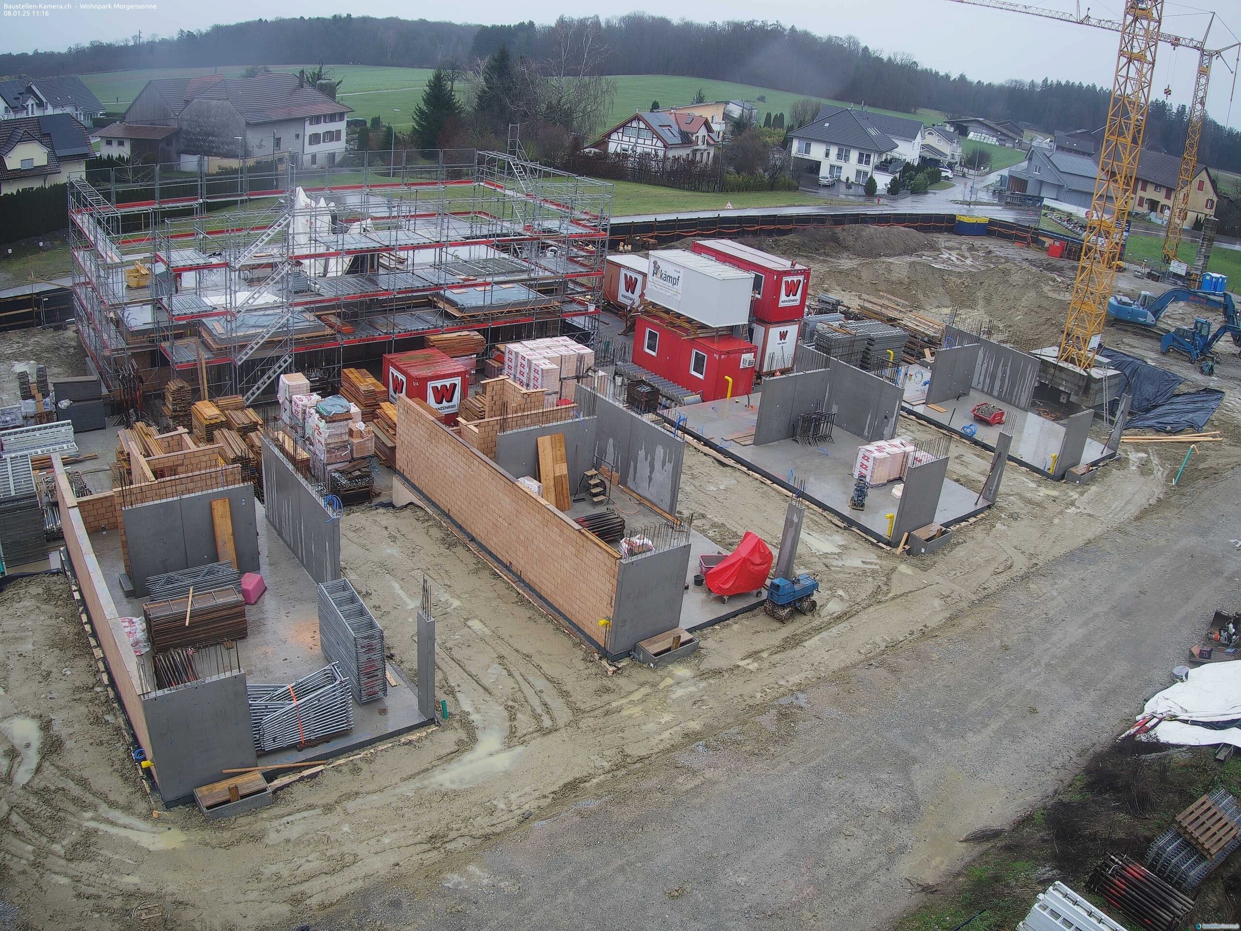 Morgensonne 08.01.2025 11:30:03
