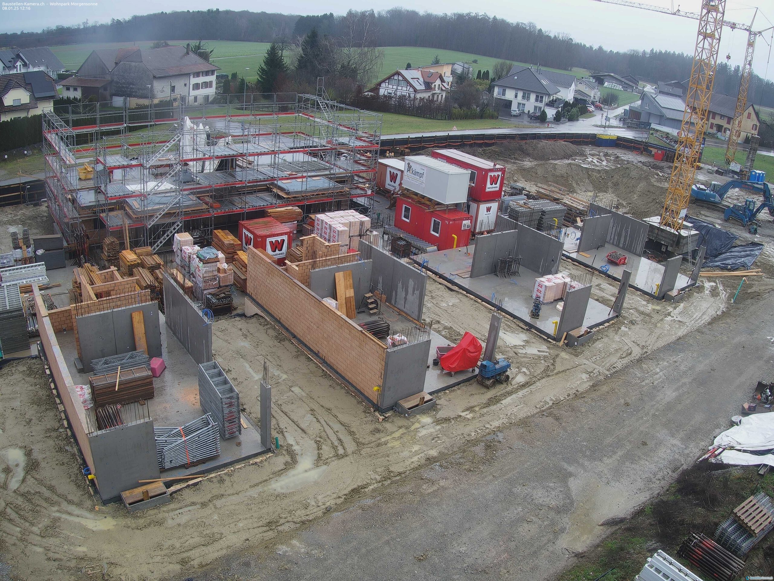 Morgensonne 08.01.2025 12:30:13