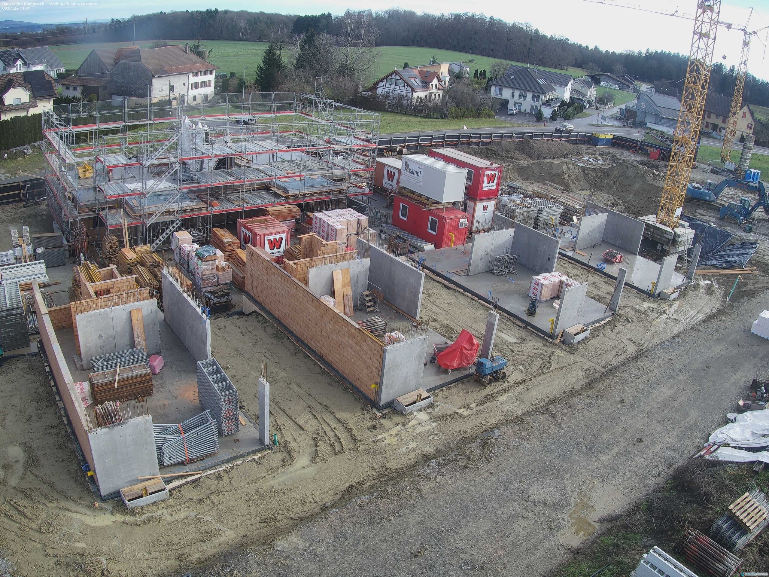 Morgensonne 09.01.2025 11:45:03