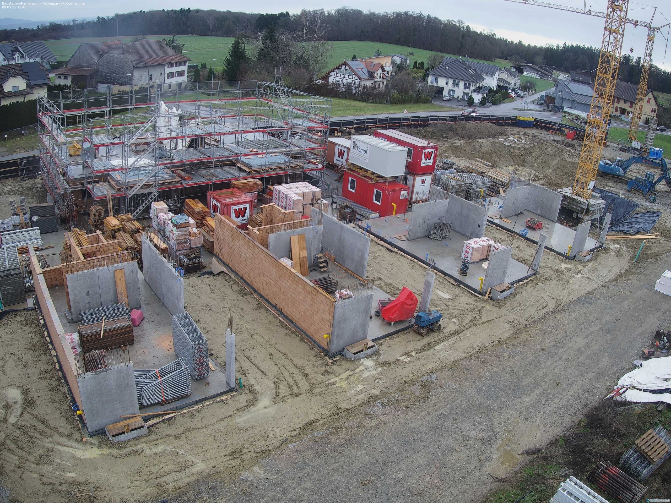 Morgensonne 09.01.2025 13:00:03