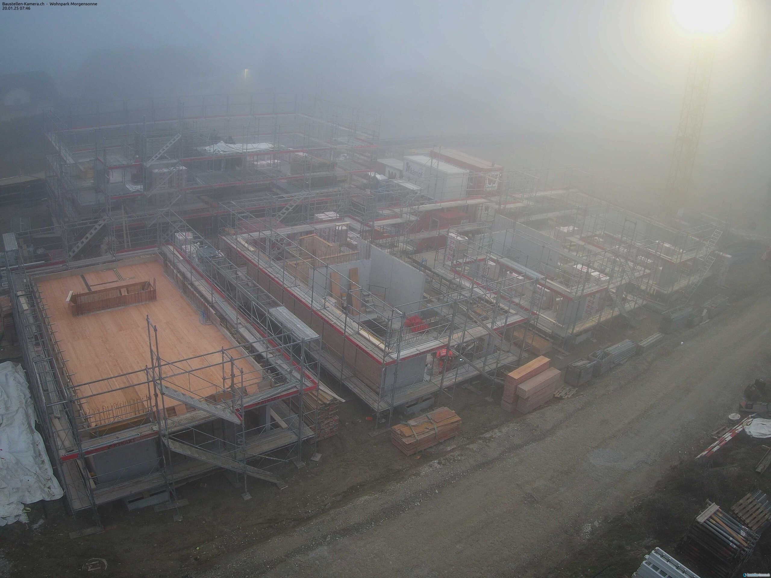 Morgensonne 20.01.2025 08:00:03