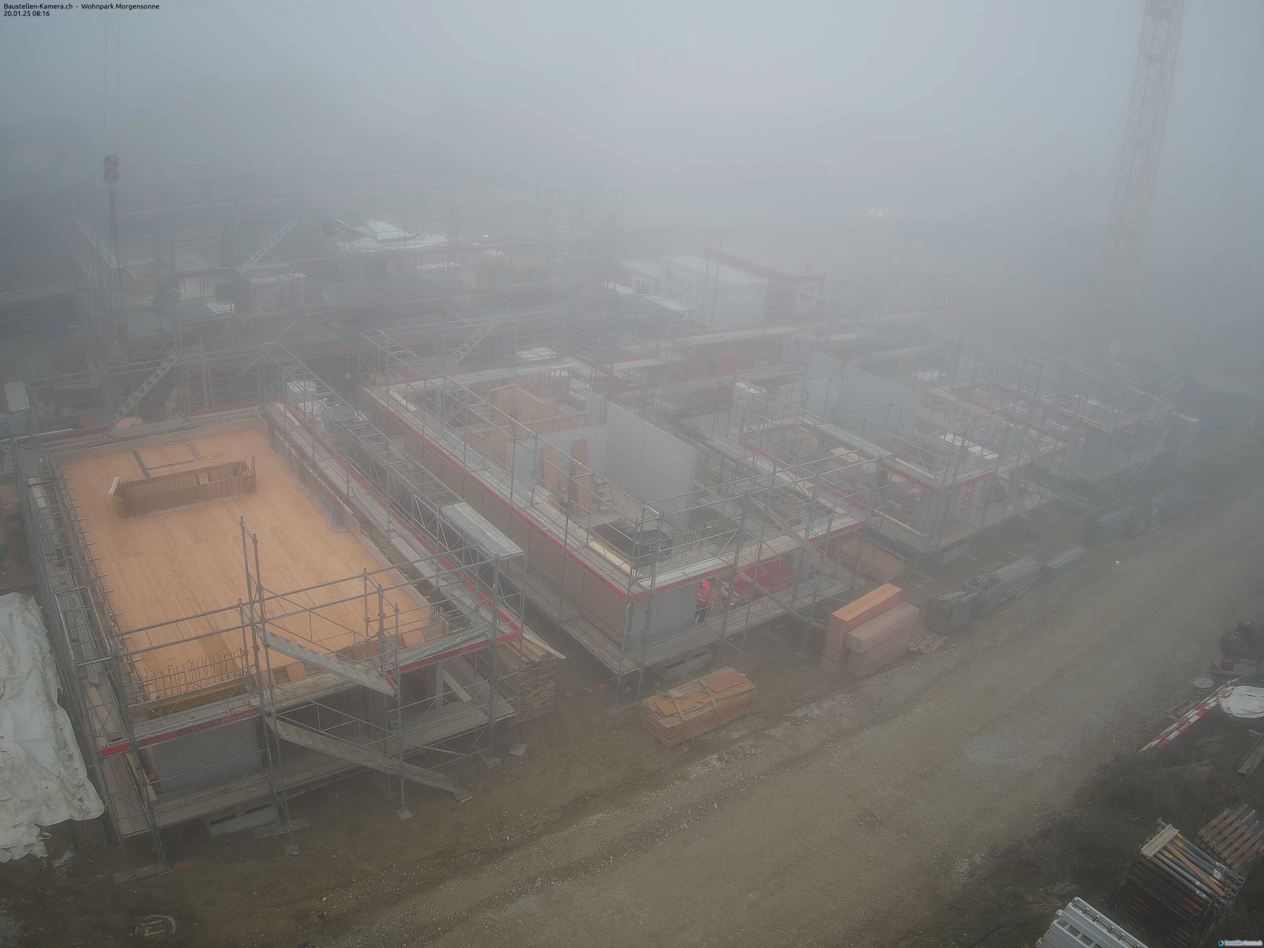 Morgensonne 20.01.2025 08:30:02