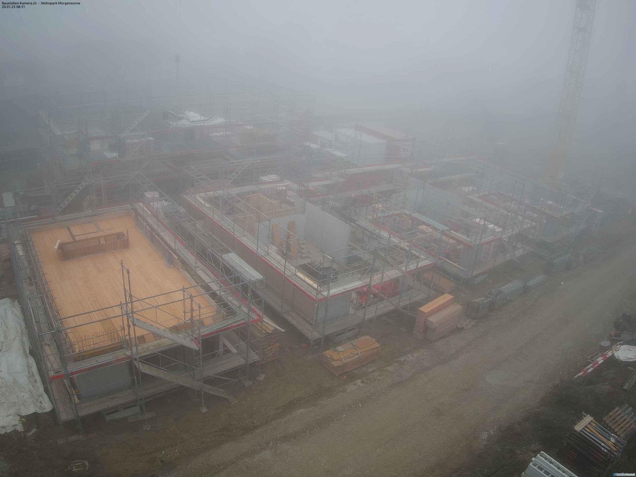 Morgensonne 20.01.2025 08:45:02