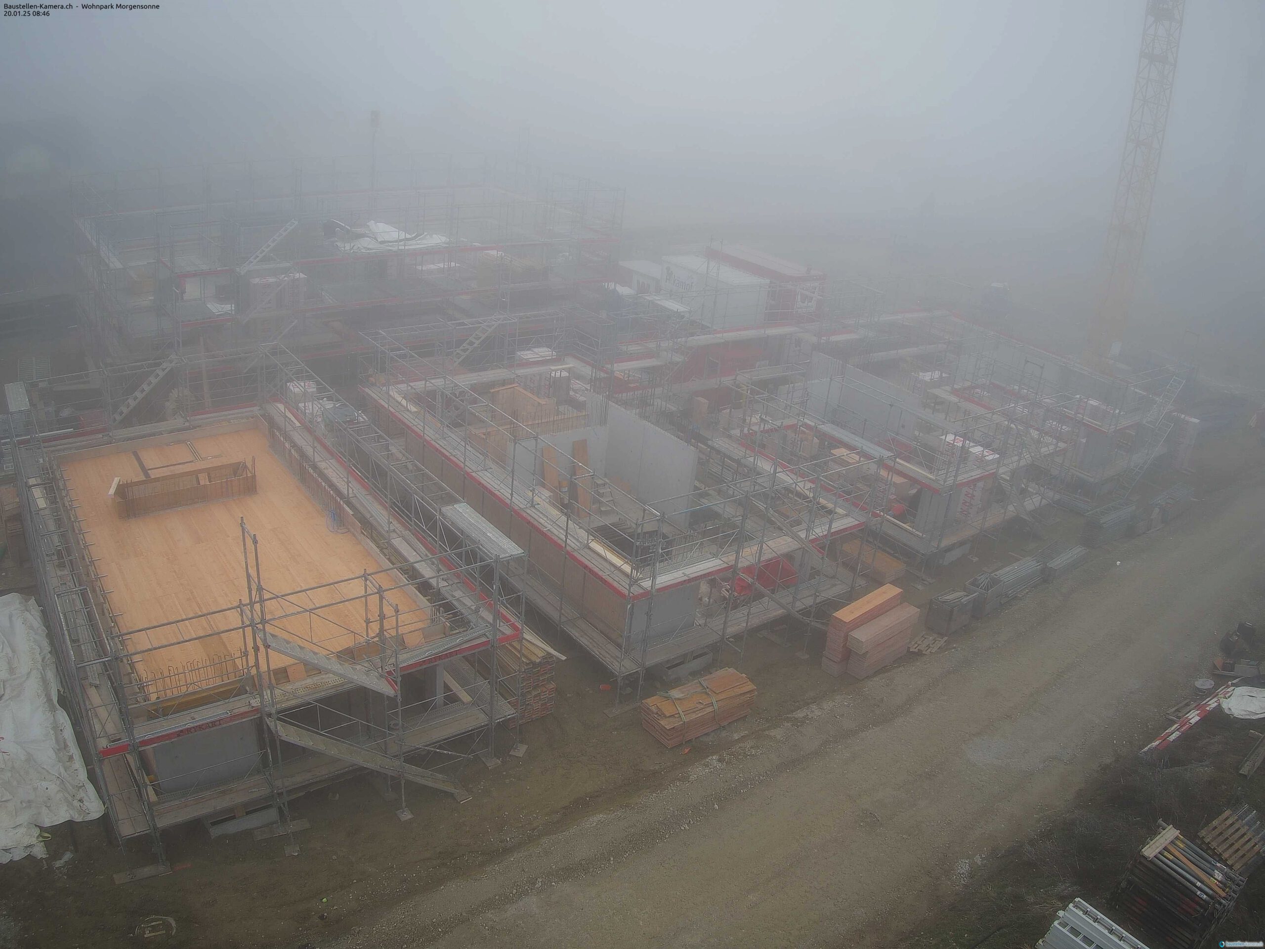 Morgensonne 20.01.2025 09:00:02