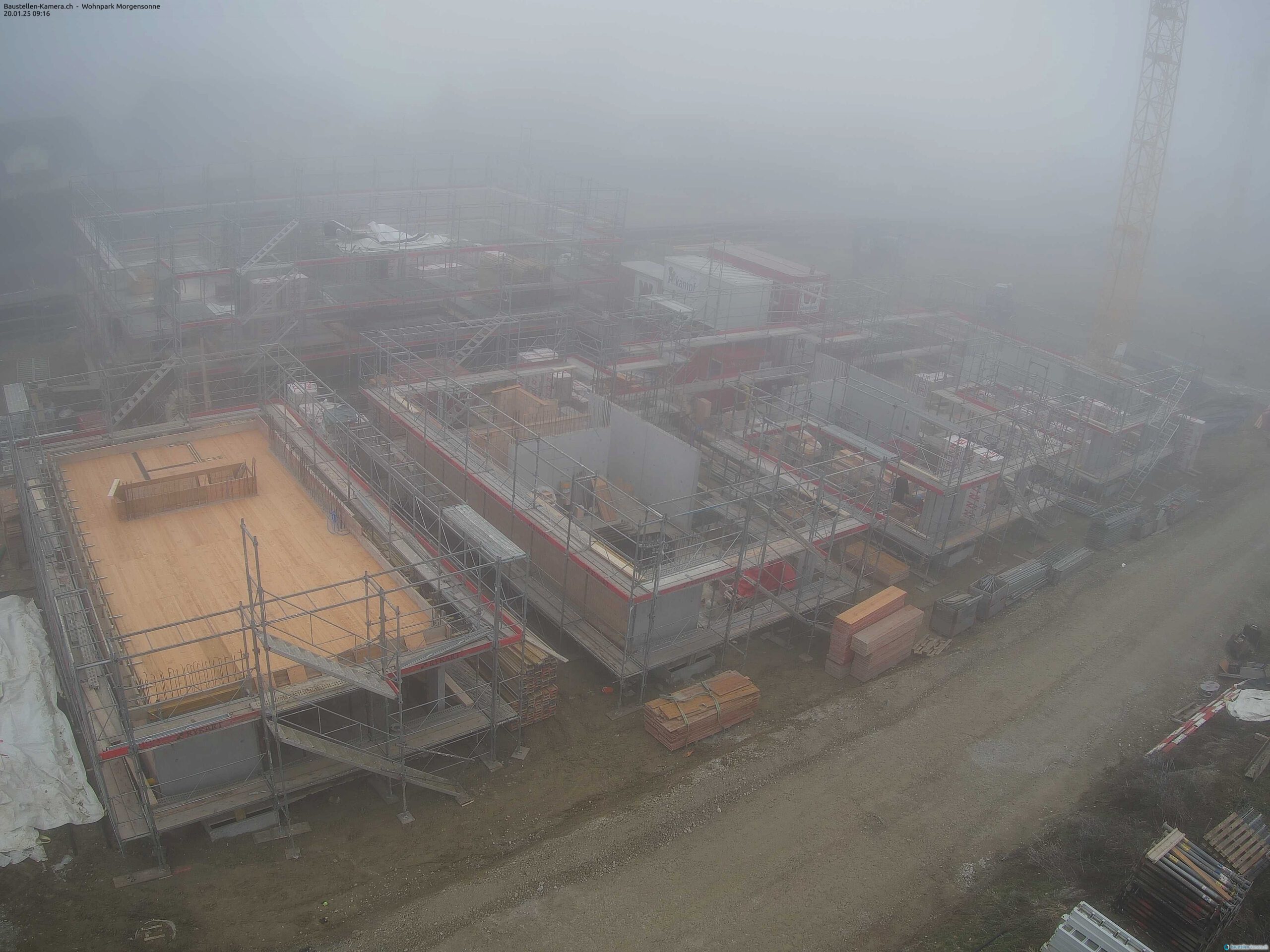 Morgensonne 20.01.2025 09:30:02