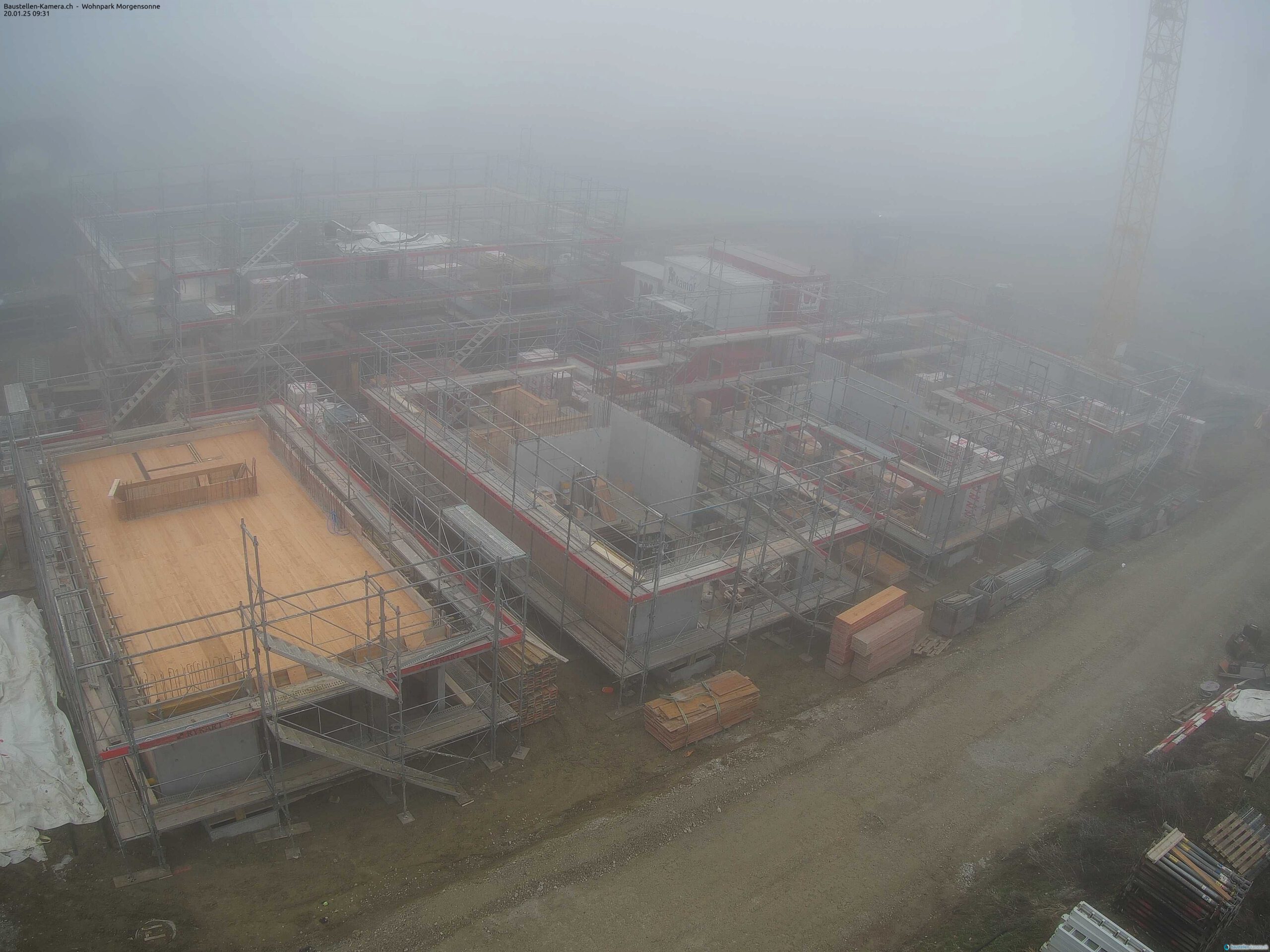 Morgensonne 20.01.2025 09:45:03