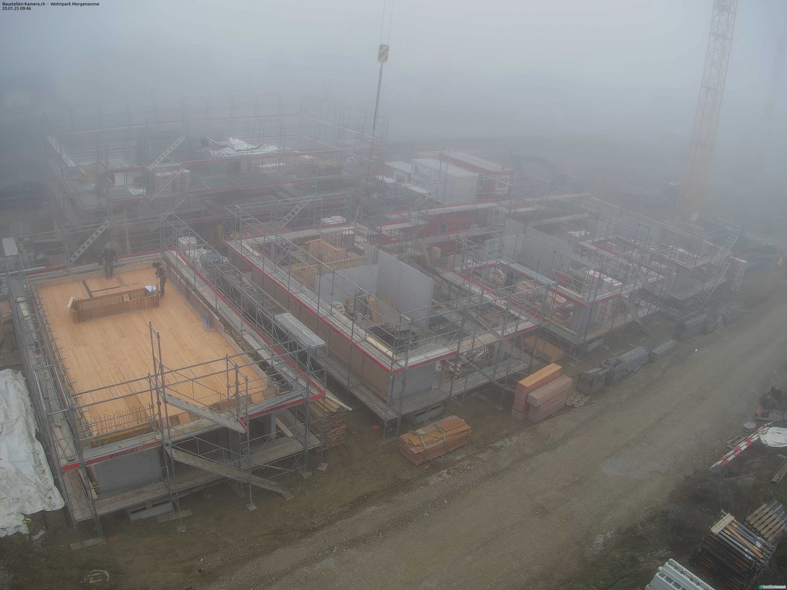 Morgensonne 20.01.2025 10:00:02