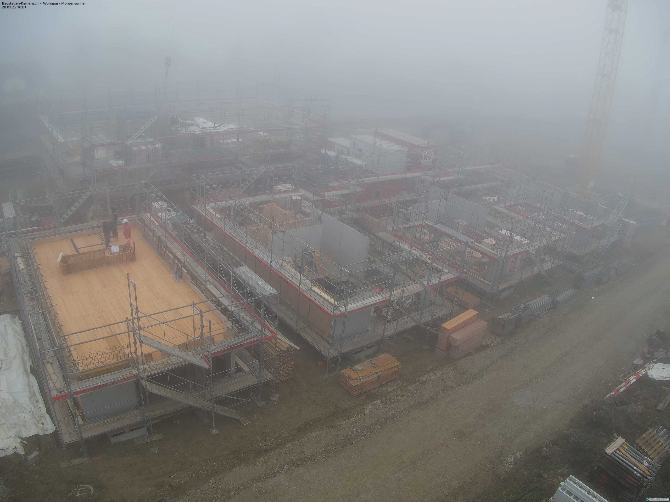 Morgensonne 20.01.2025 10:15:03