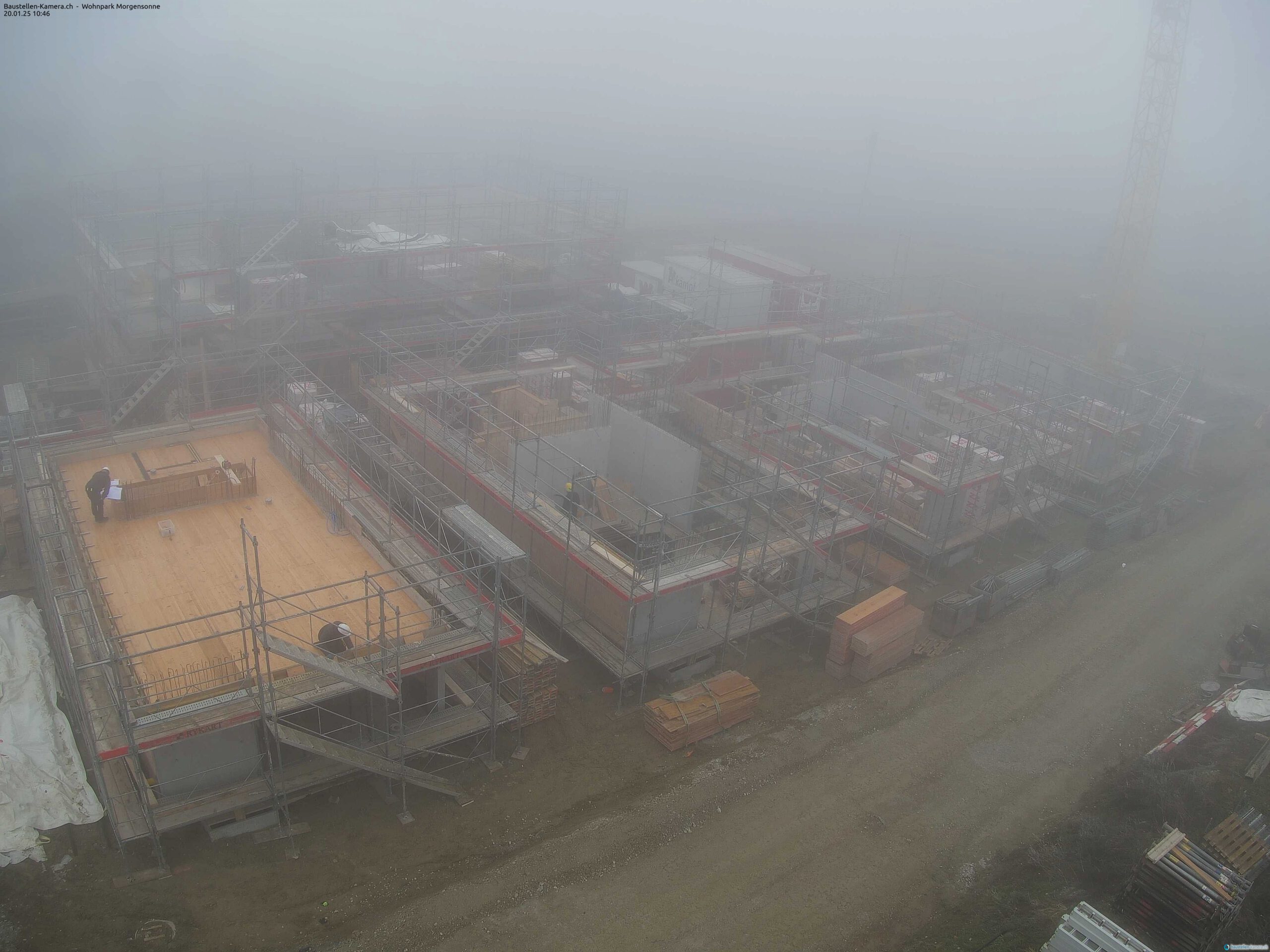 Morgensonne 20.01.2025 11:00:02