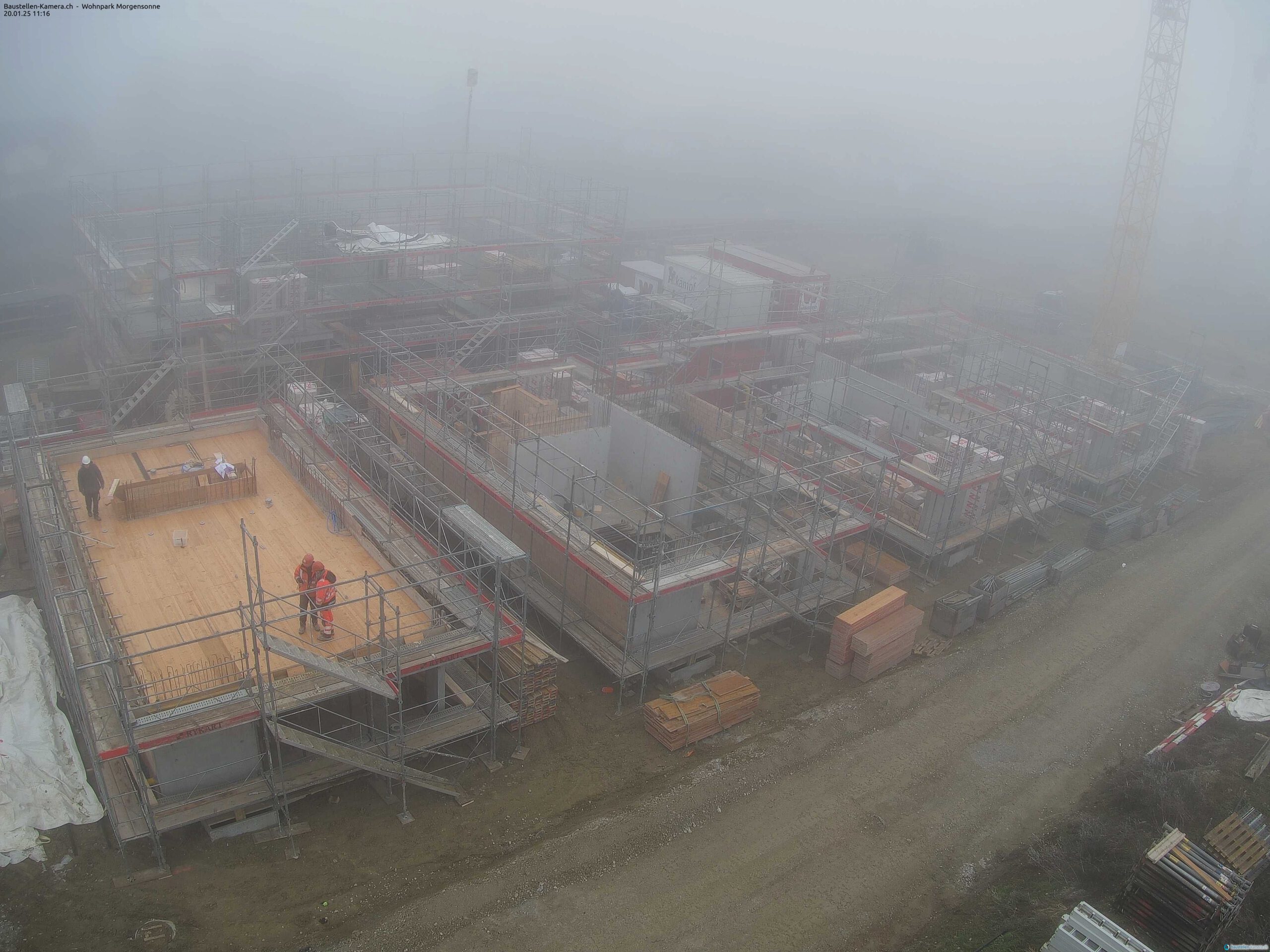 Morgensonne 20.01.2025 11:30:03