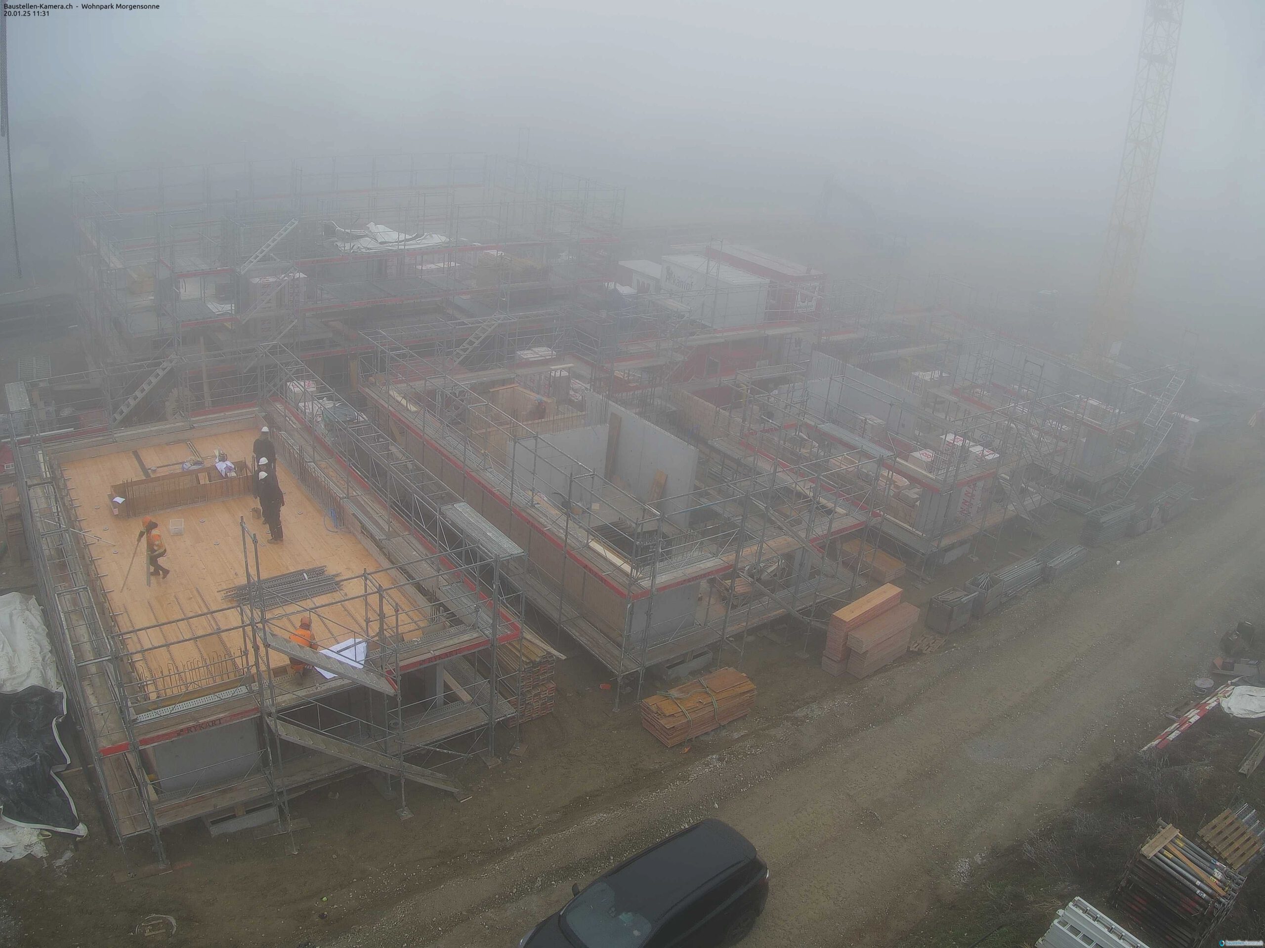 Morgensonne 20.01.2025 11:45:02