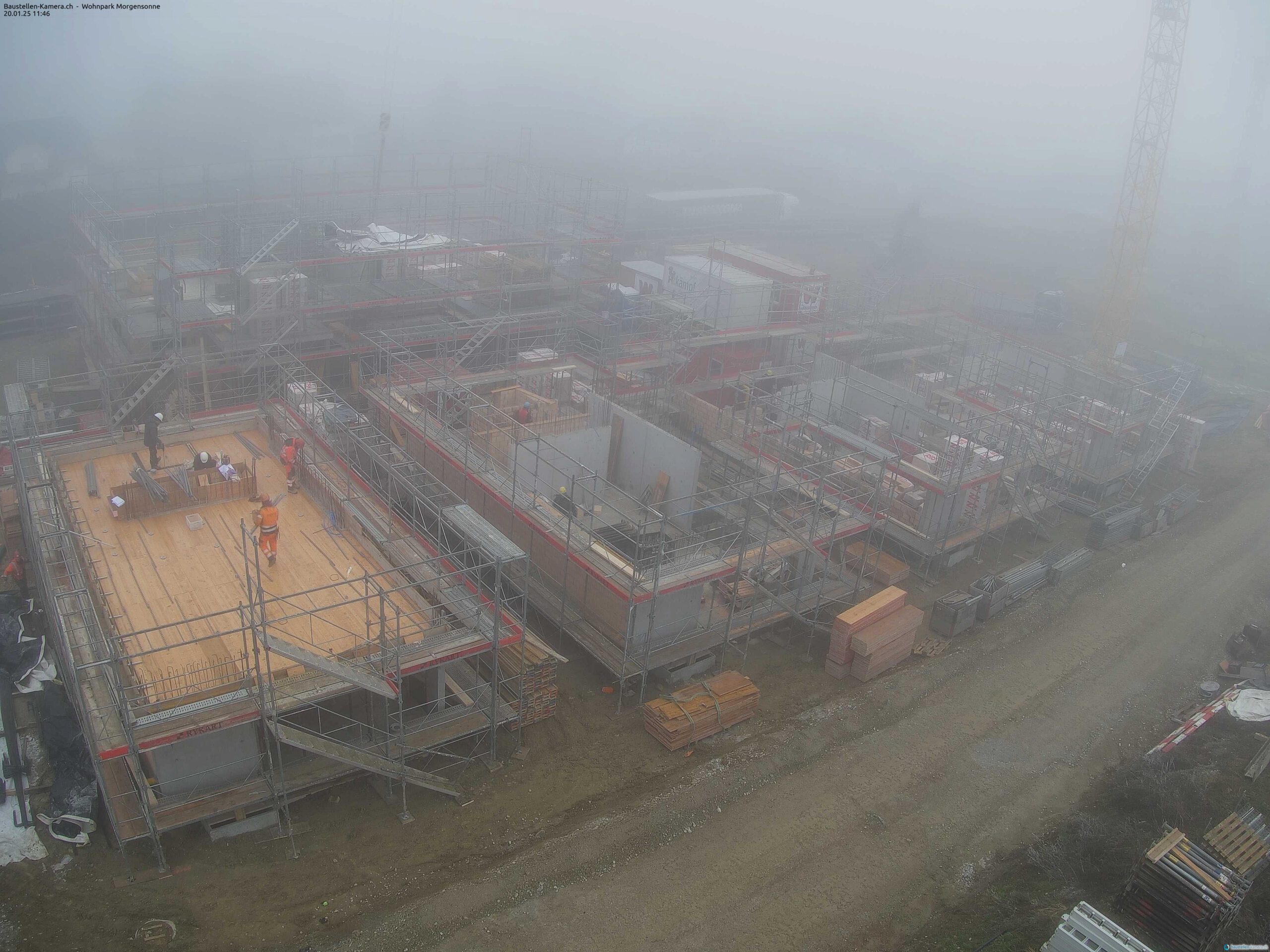 Morgensonne 20.01.2025 12:00:02