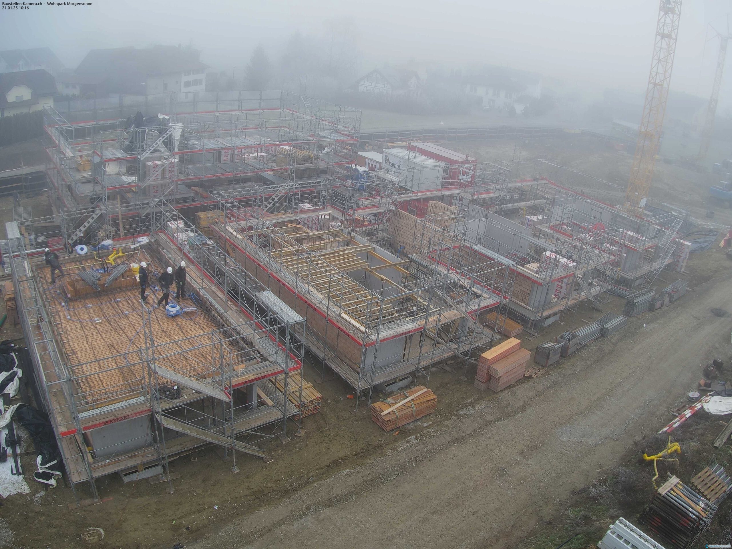 Morgensonne 21.01.2025 10:30:03