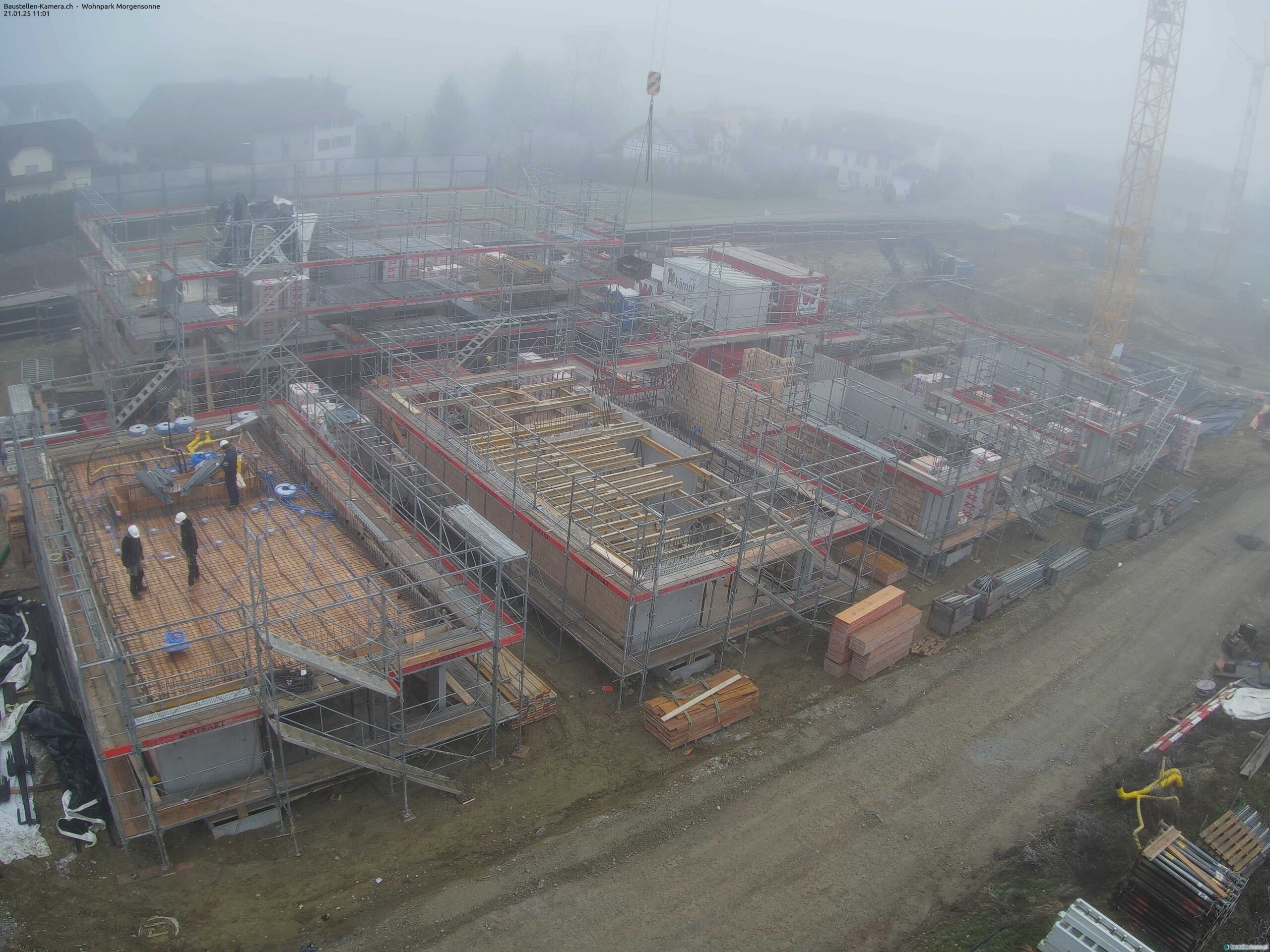Morgensonne 21.01.2025 11:15:02