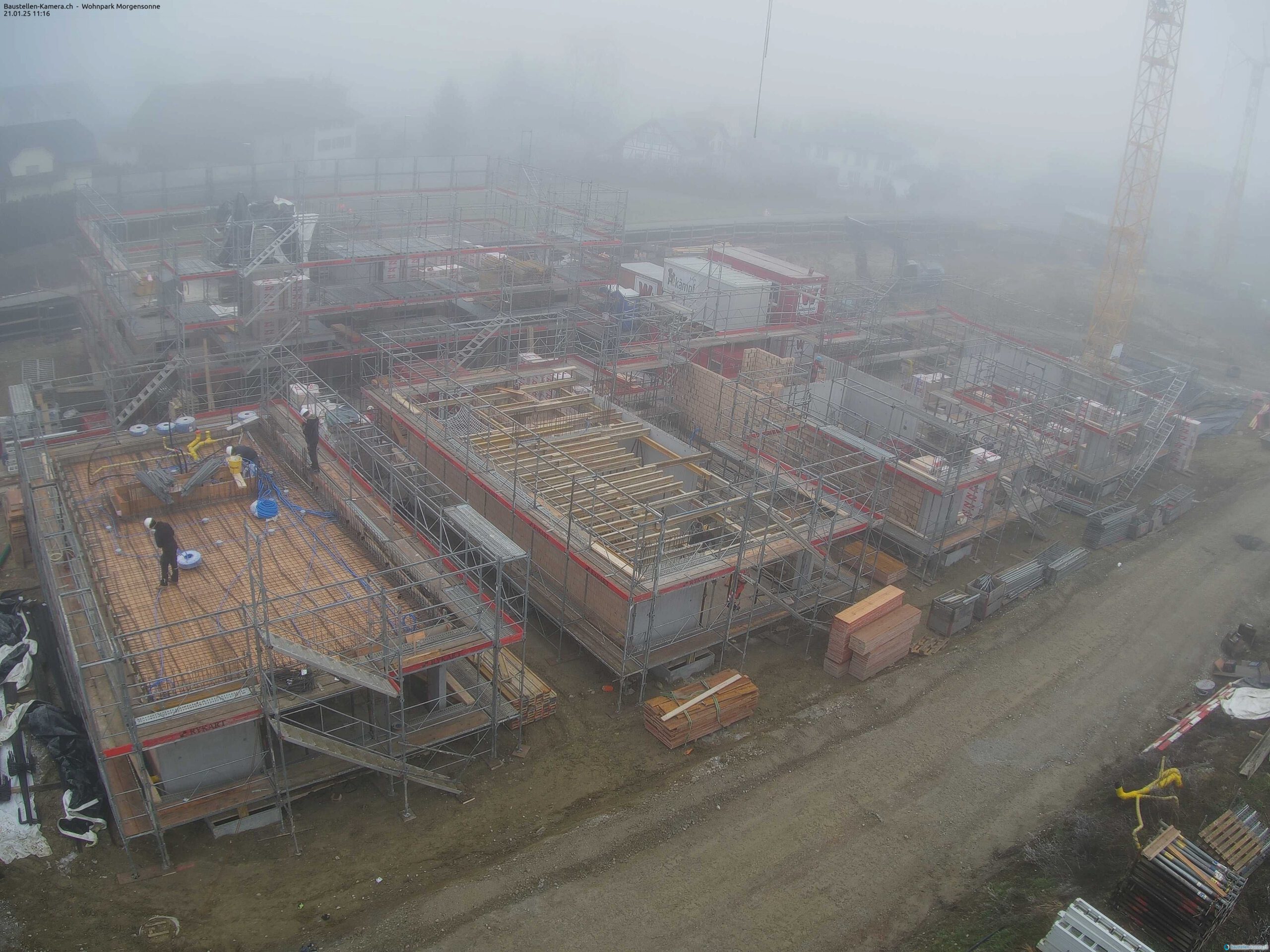 Morgensonne 21.01.2025 11:30:02