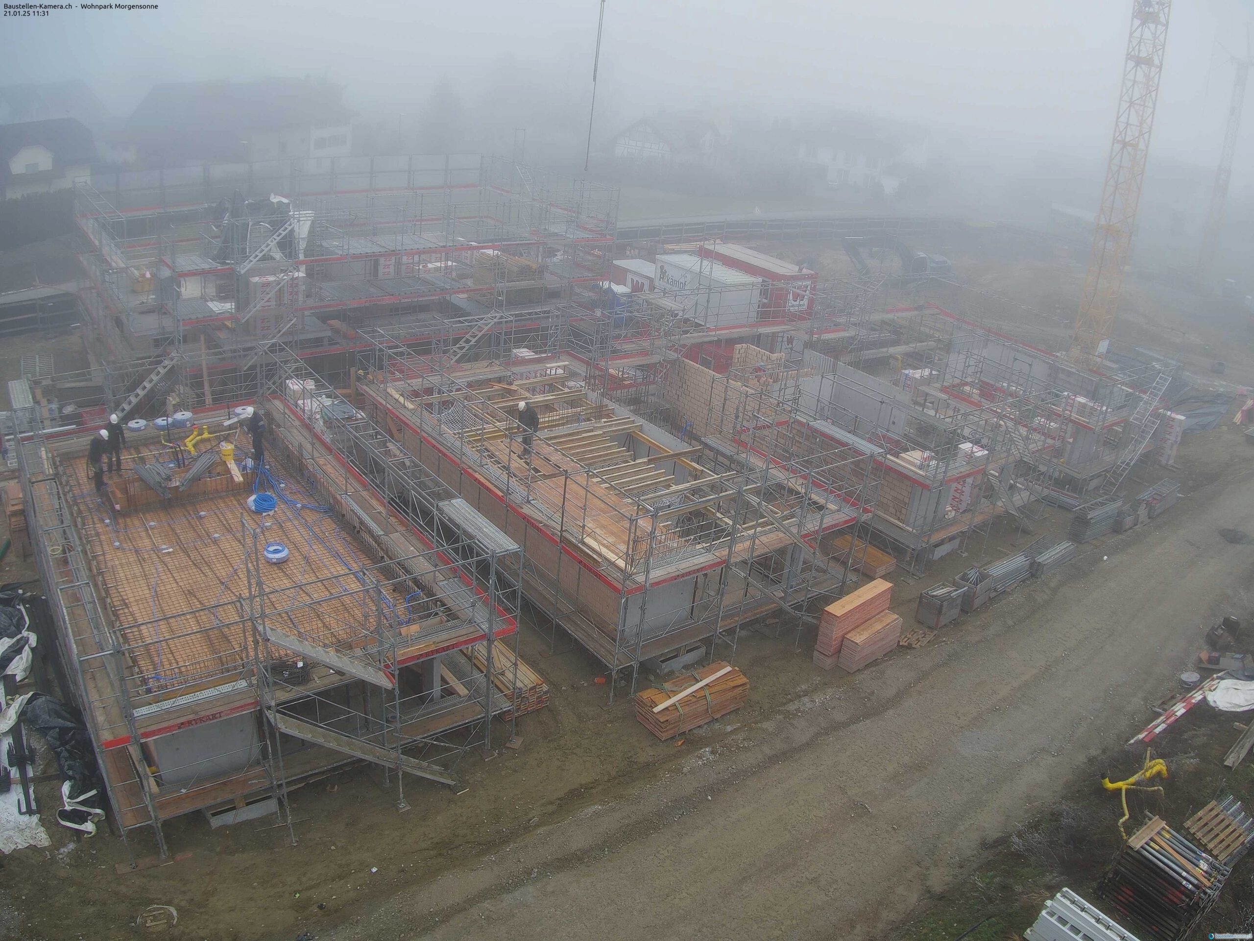 Morgensonne 21.01.2025 11:45:03