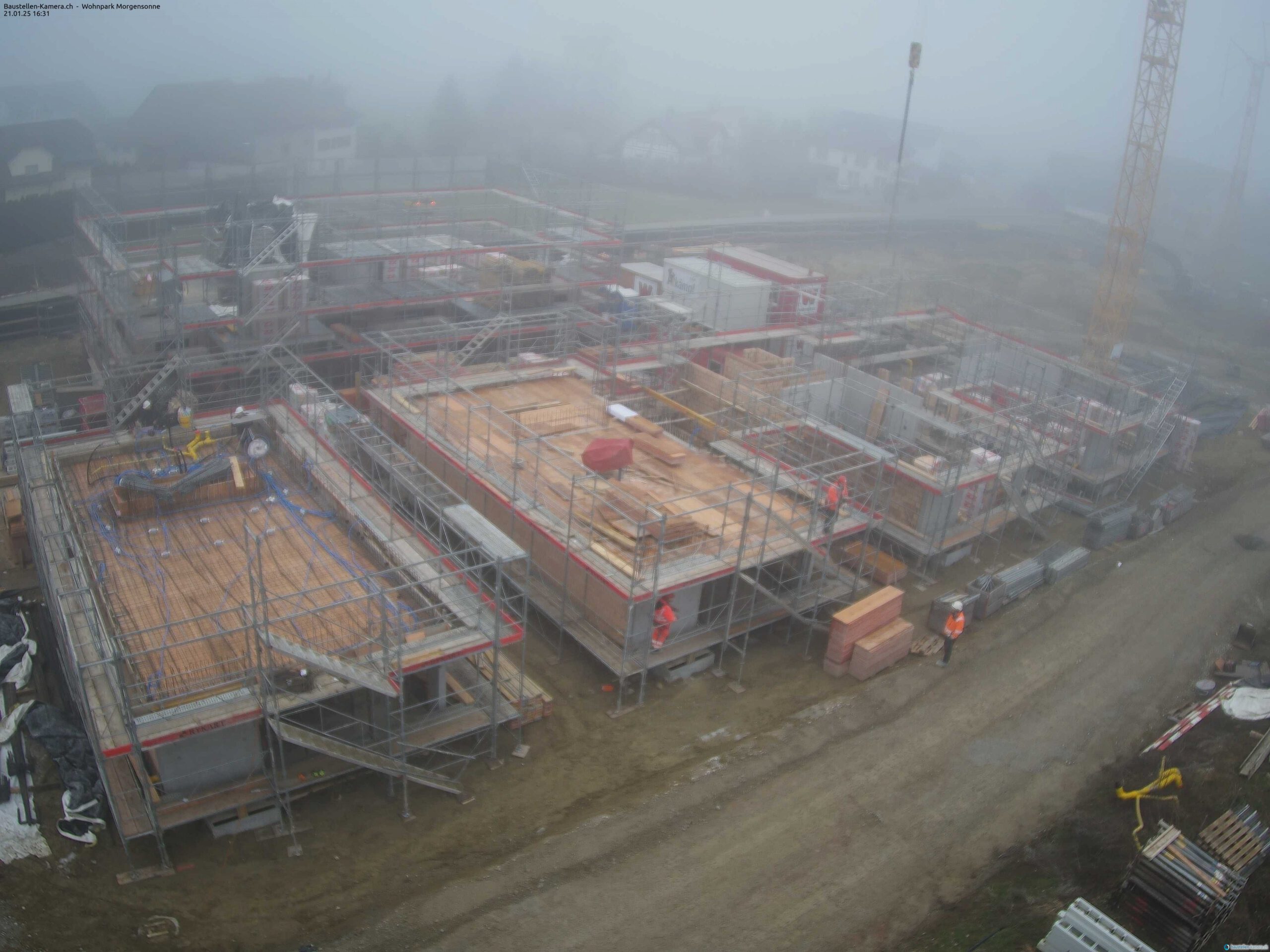 Morgensonne 21.01.2025 16:45:00