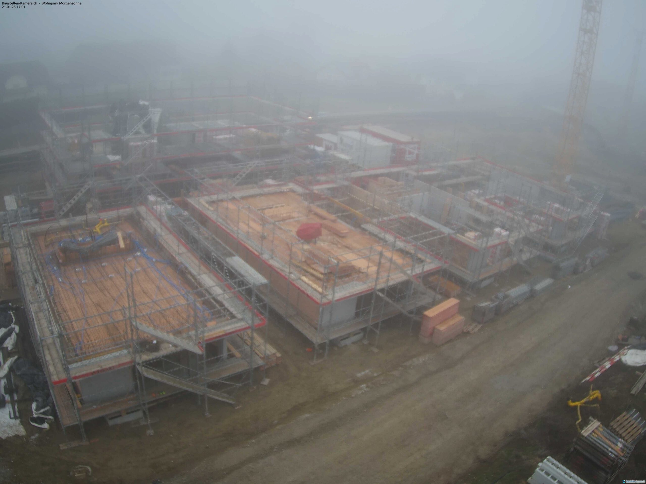 Morgensonne 21.01.2025 17:15:01
