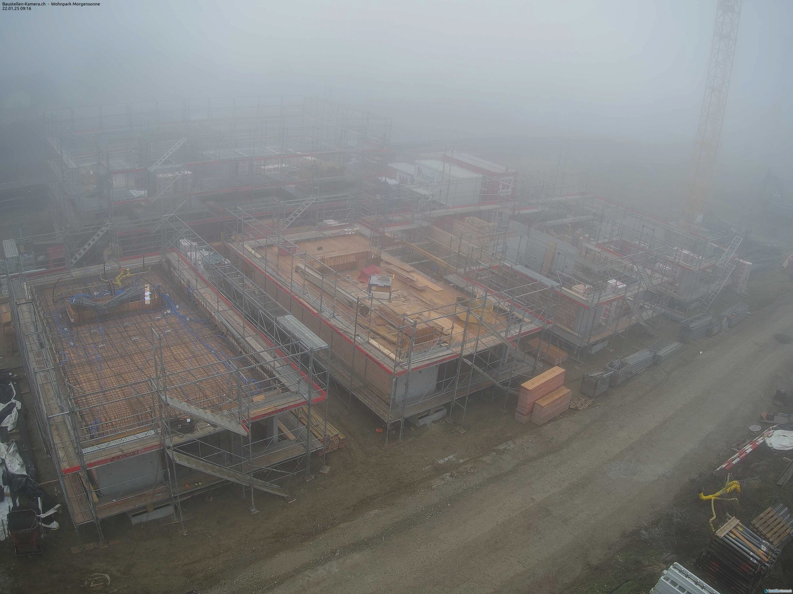 Morgensonne 22.01.2025 09:30:03
