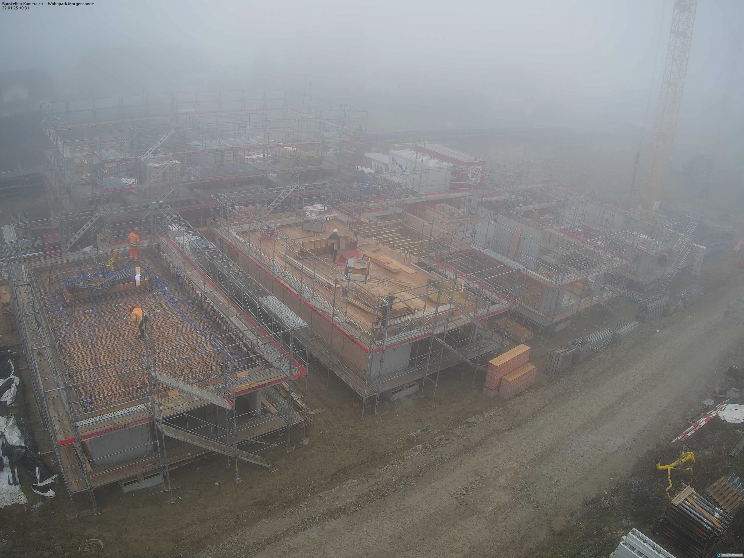 Morgensonne 22.01.2025 10:45:02
