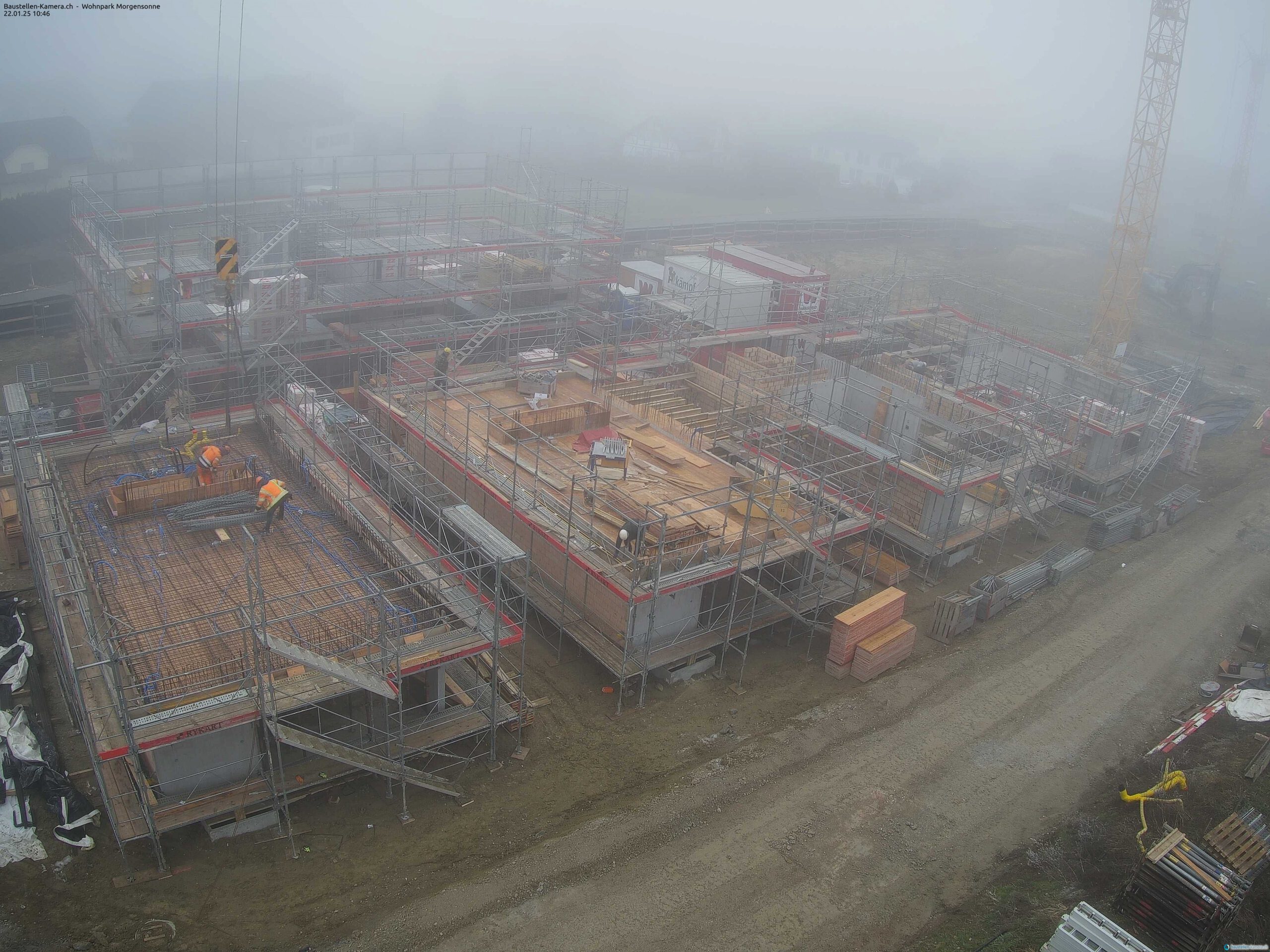Morgensonne 22.01.2025 11:00:03