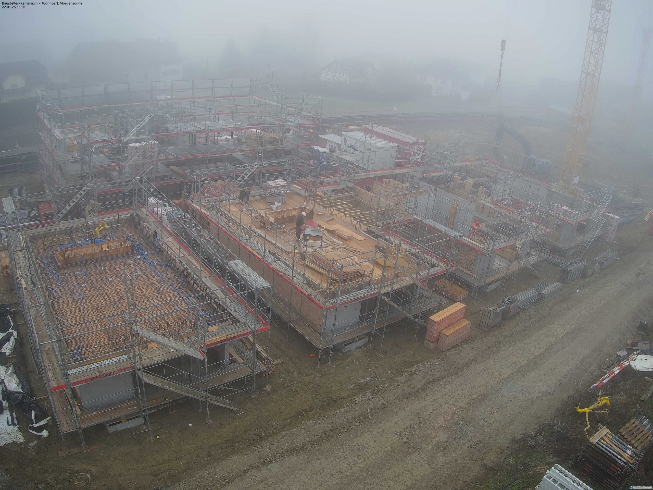 Morgensonne 22.01.2025 11:15:03