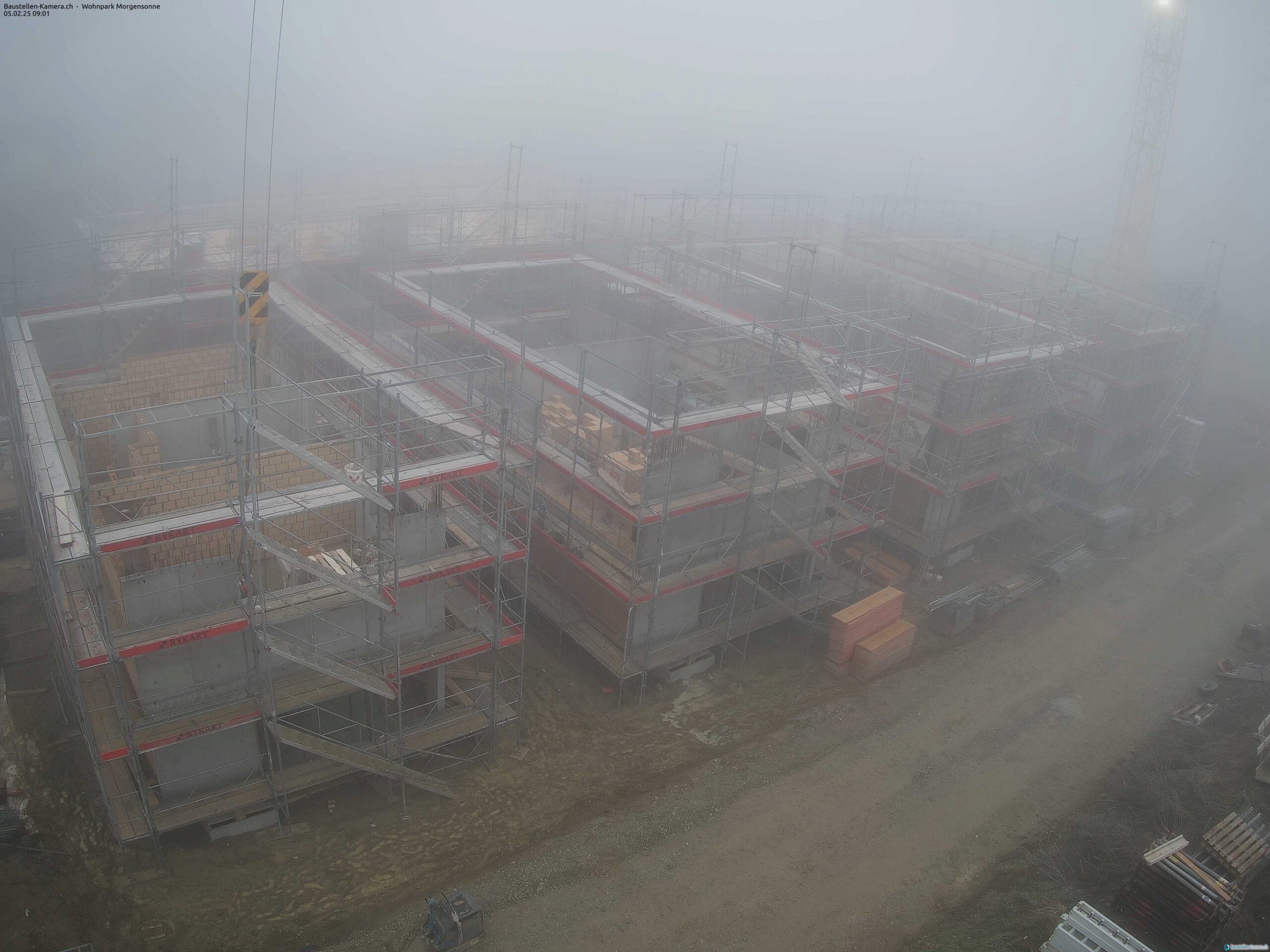 Morgensonne 05.02.2025 09:15:03