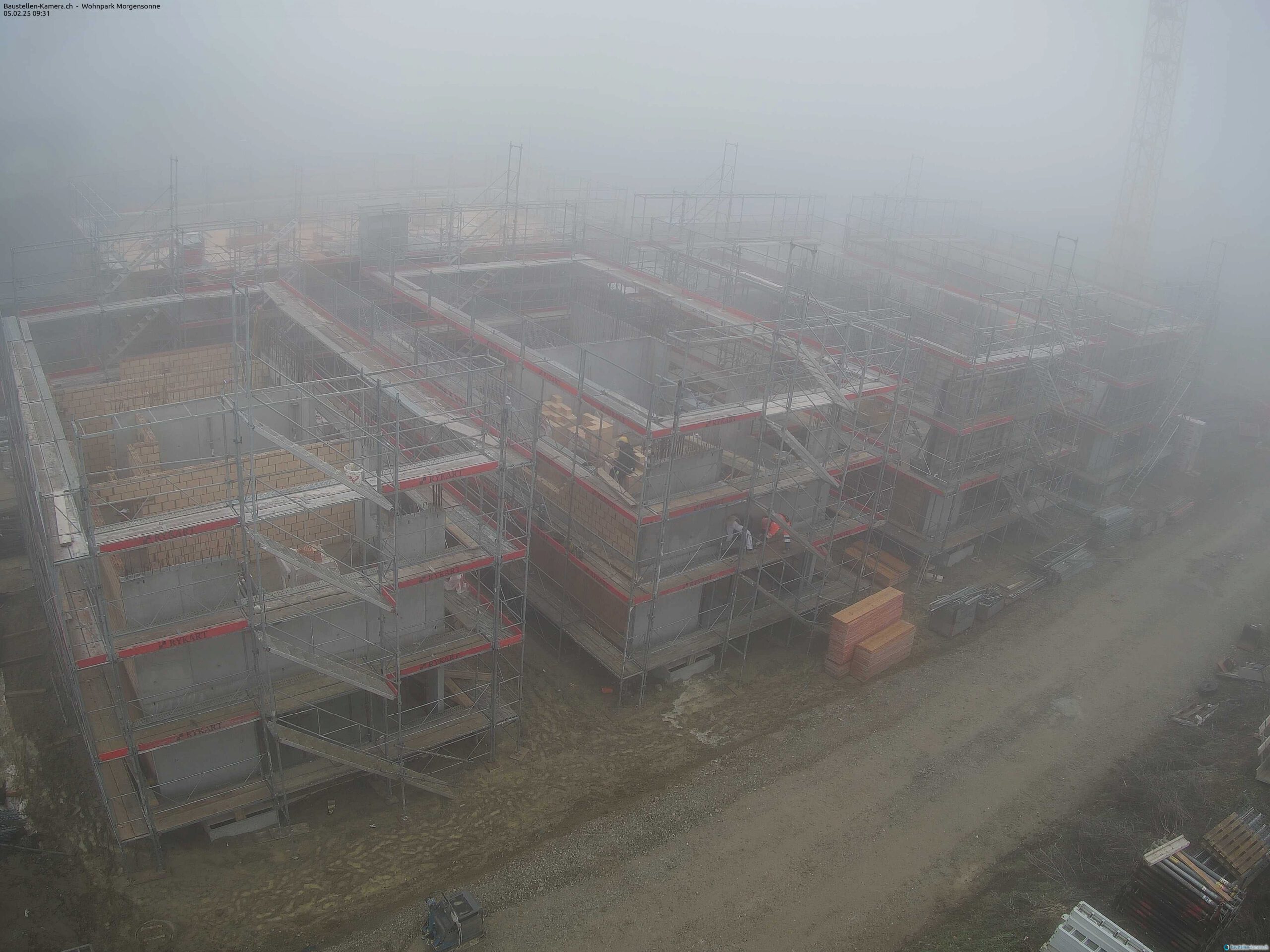 Morgensonne 05.02.2025 09:45:03