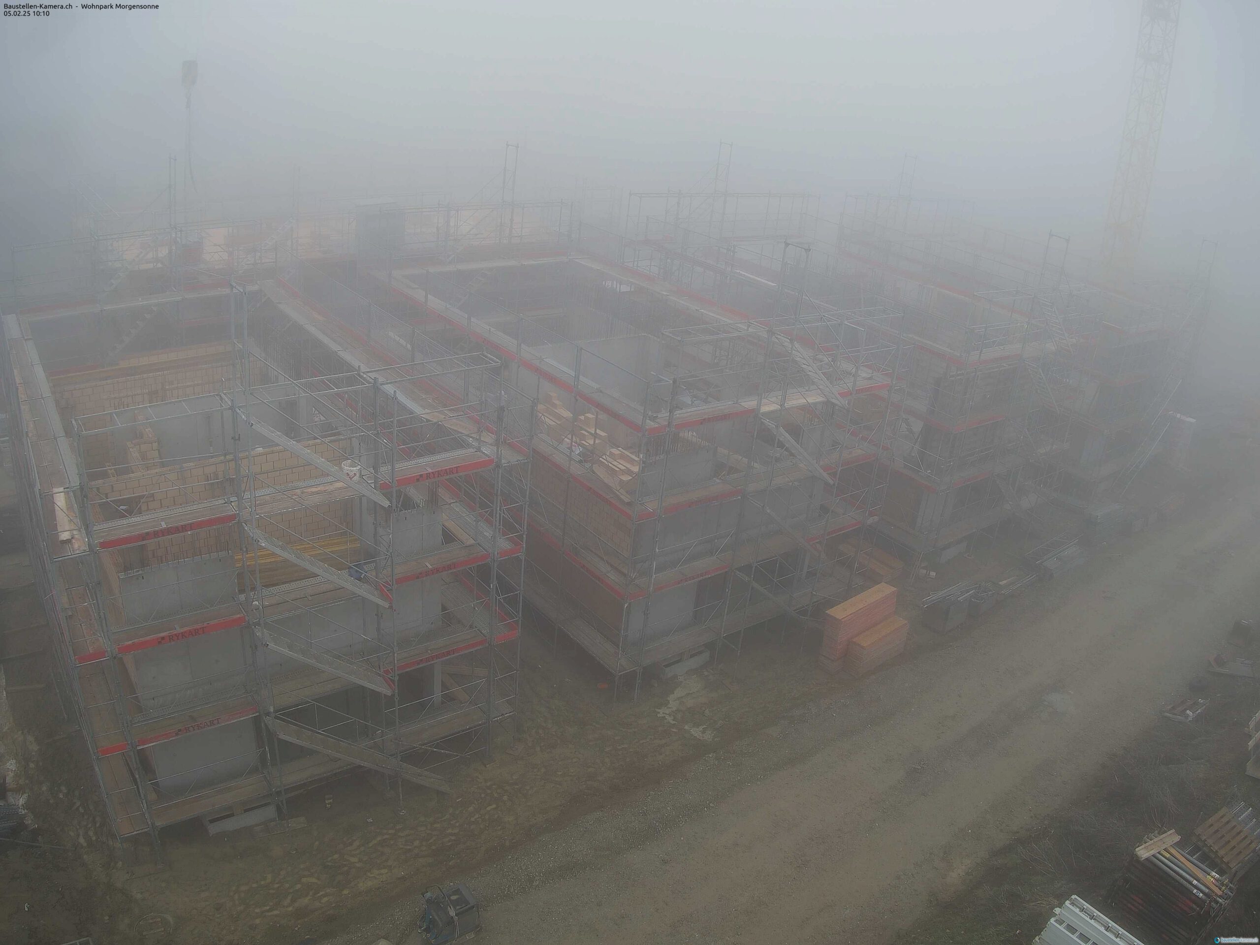 Morgensonne 05.02.2025 10:15:03