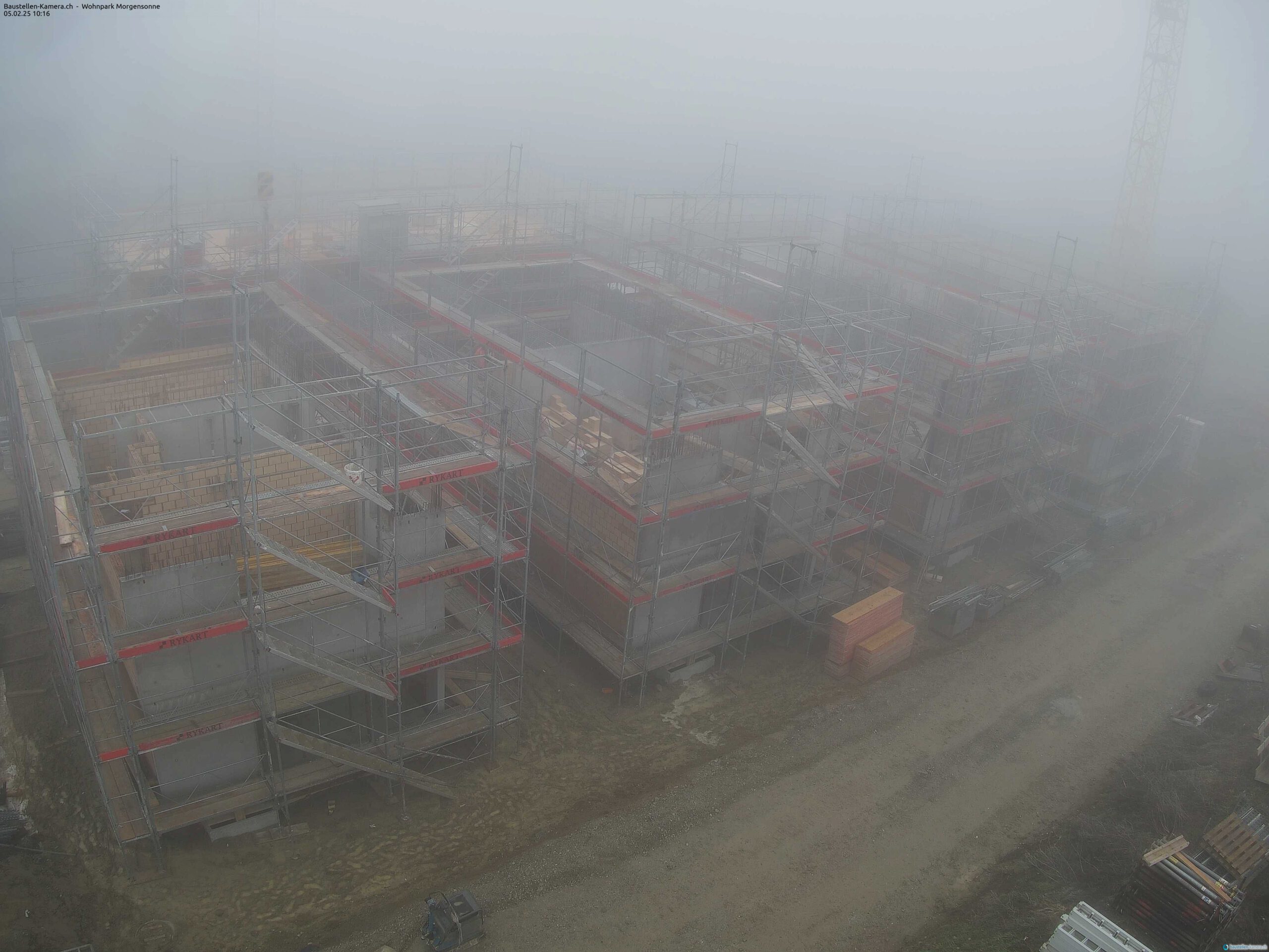 Morgensonne 05.02.2025 10:30:03