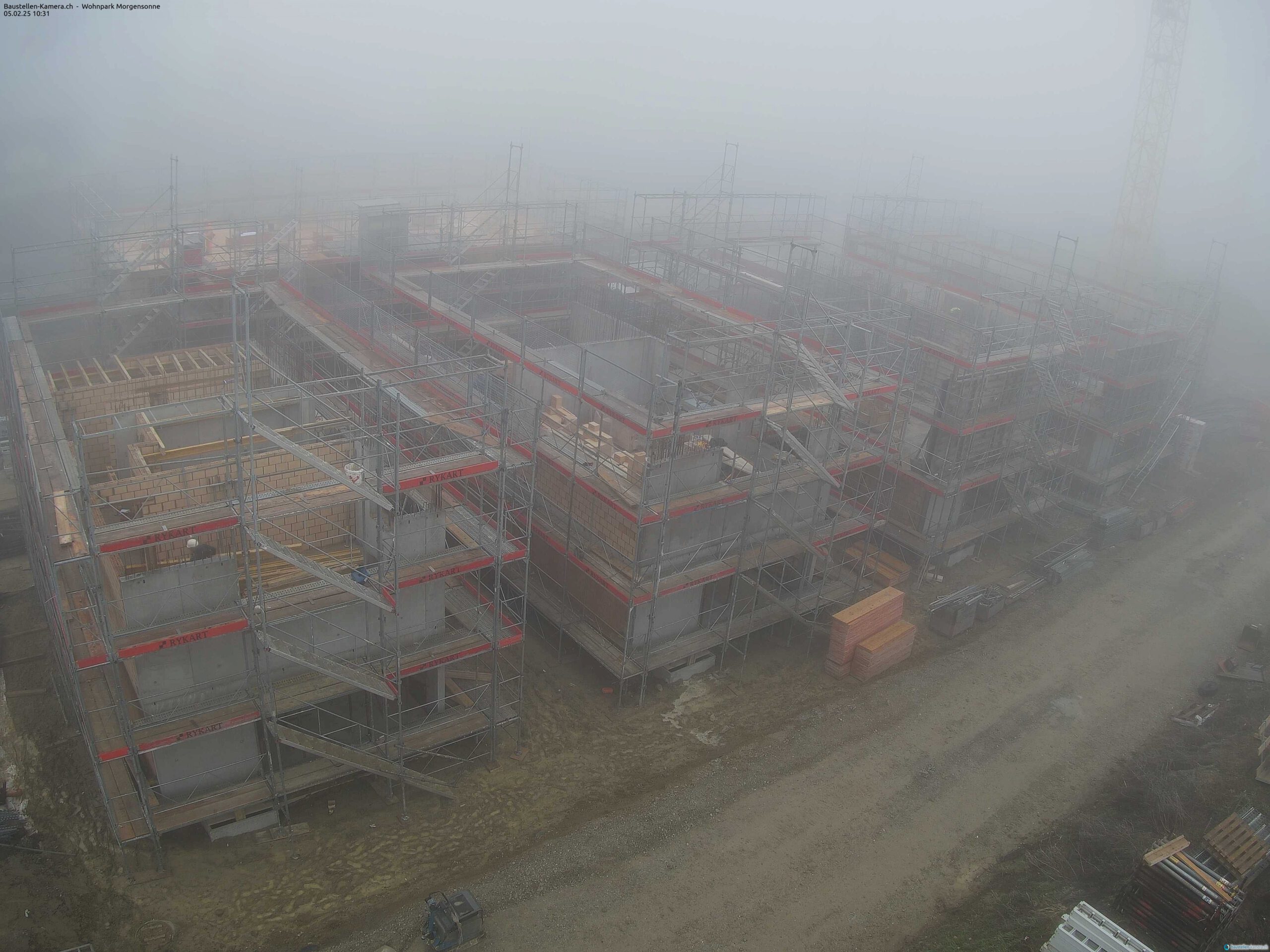 Morgensonne 05.02.2025 10:45:03