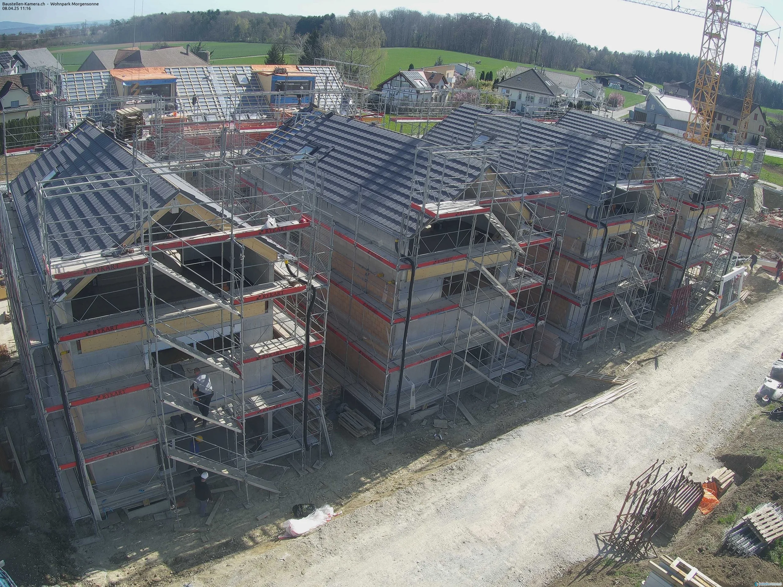 Morgensonne 08.04.2025 11:30:03