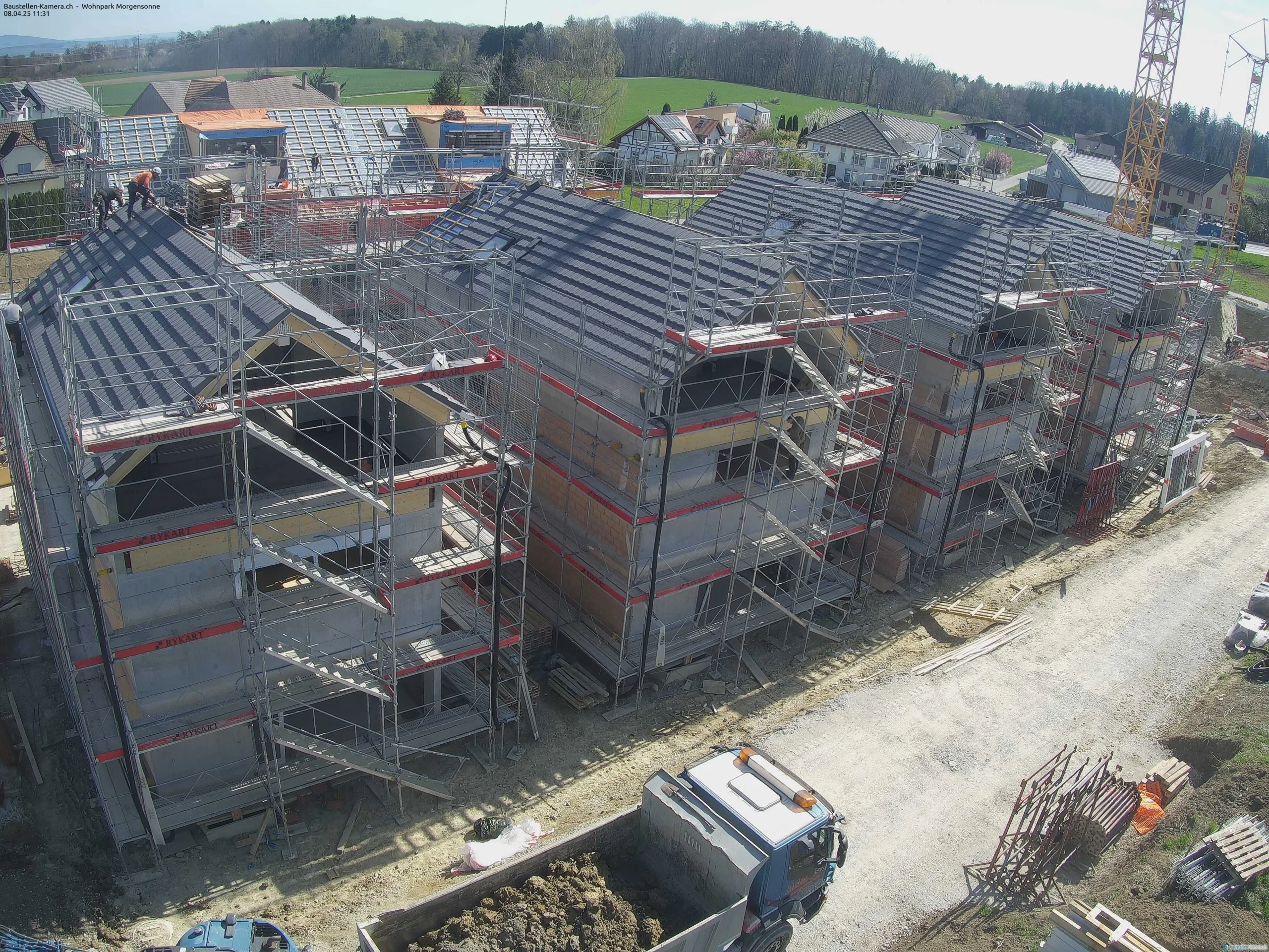 Morgensonne 08.04.2025 11:45:01