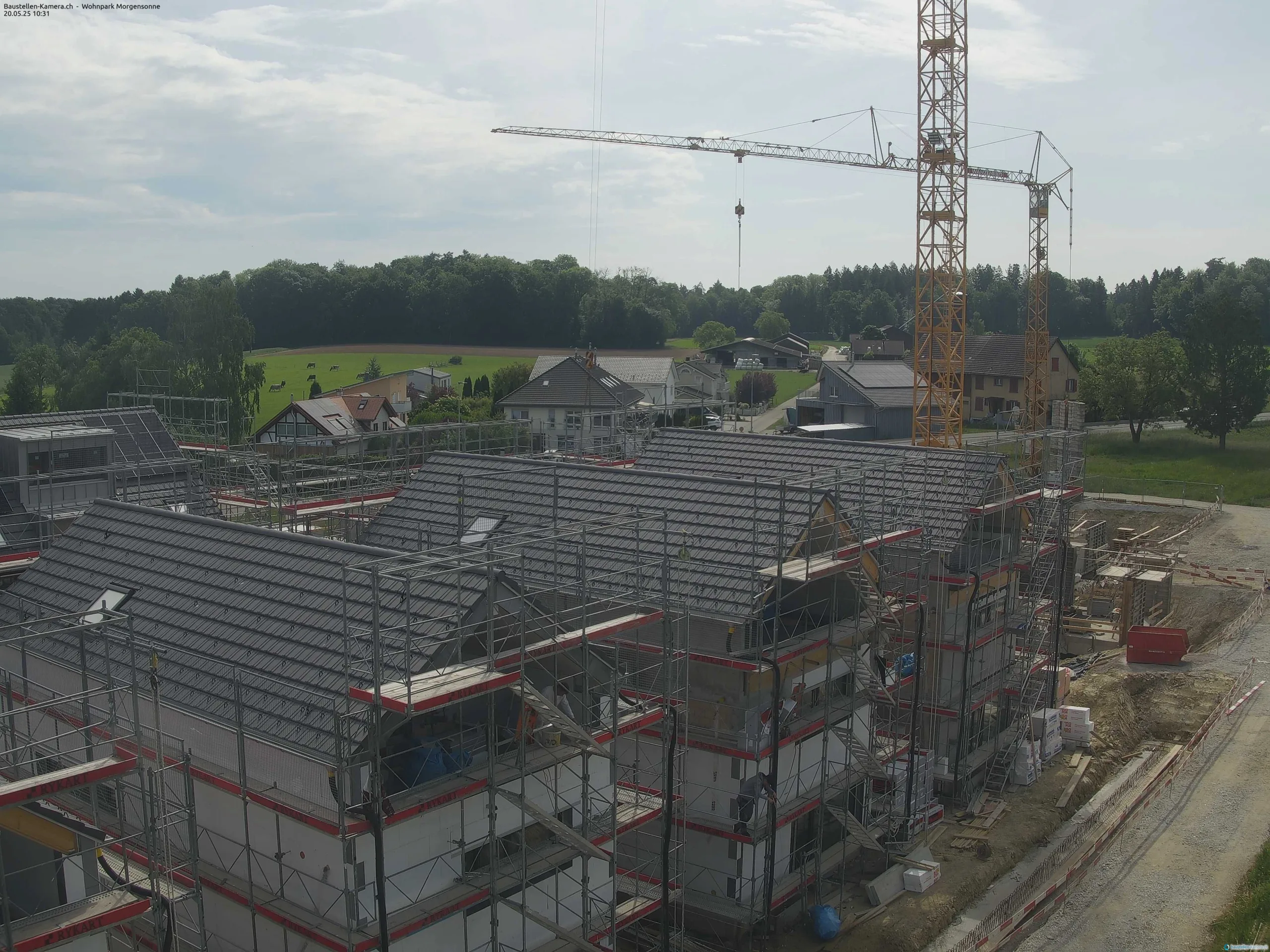 Morgensonne 20.05.2025 10:45:00