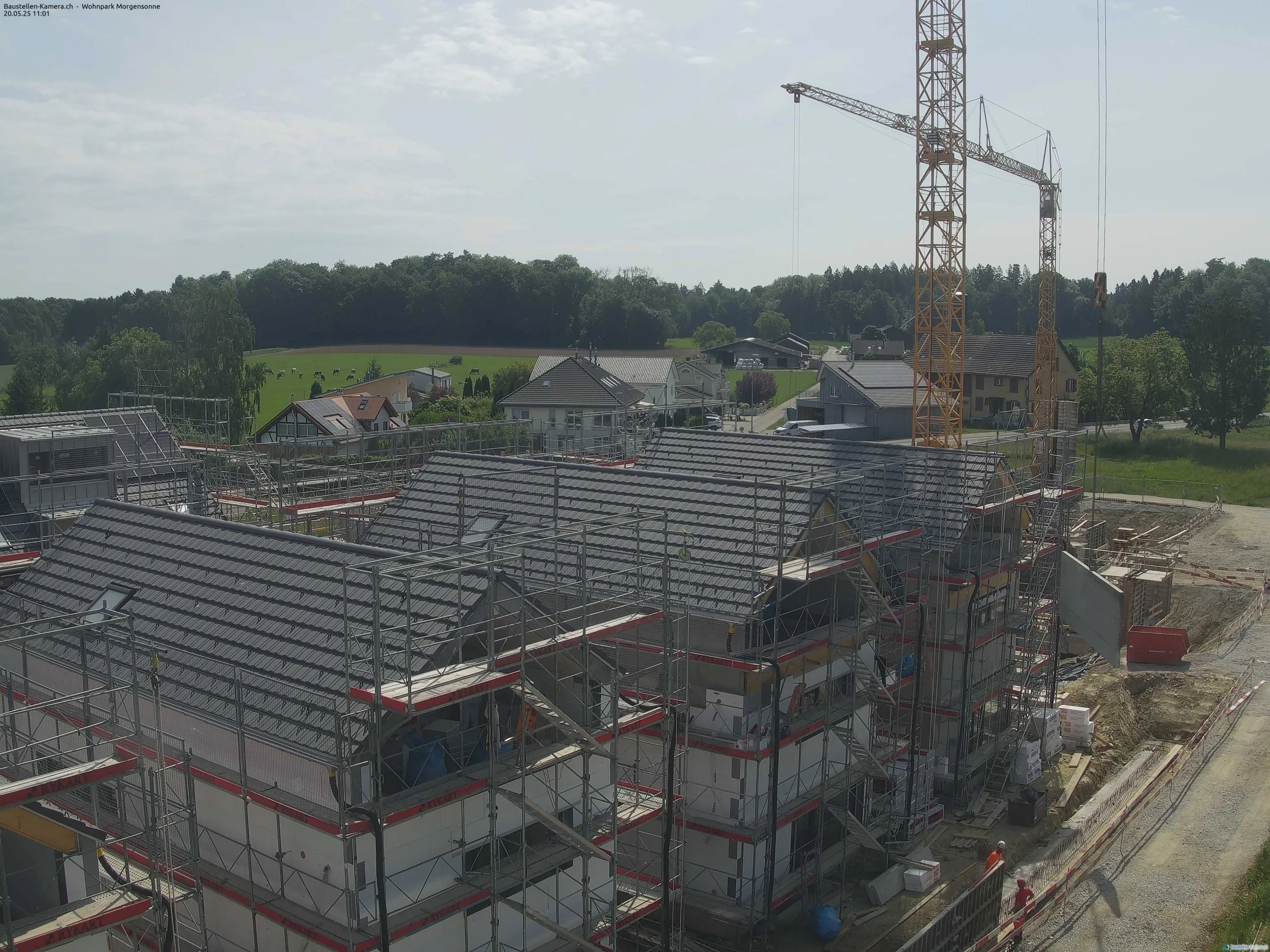Morgensonne 20.05.2025 11:15:02