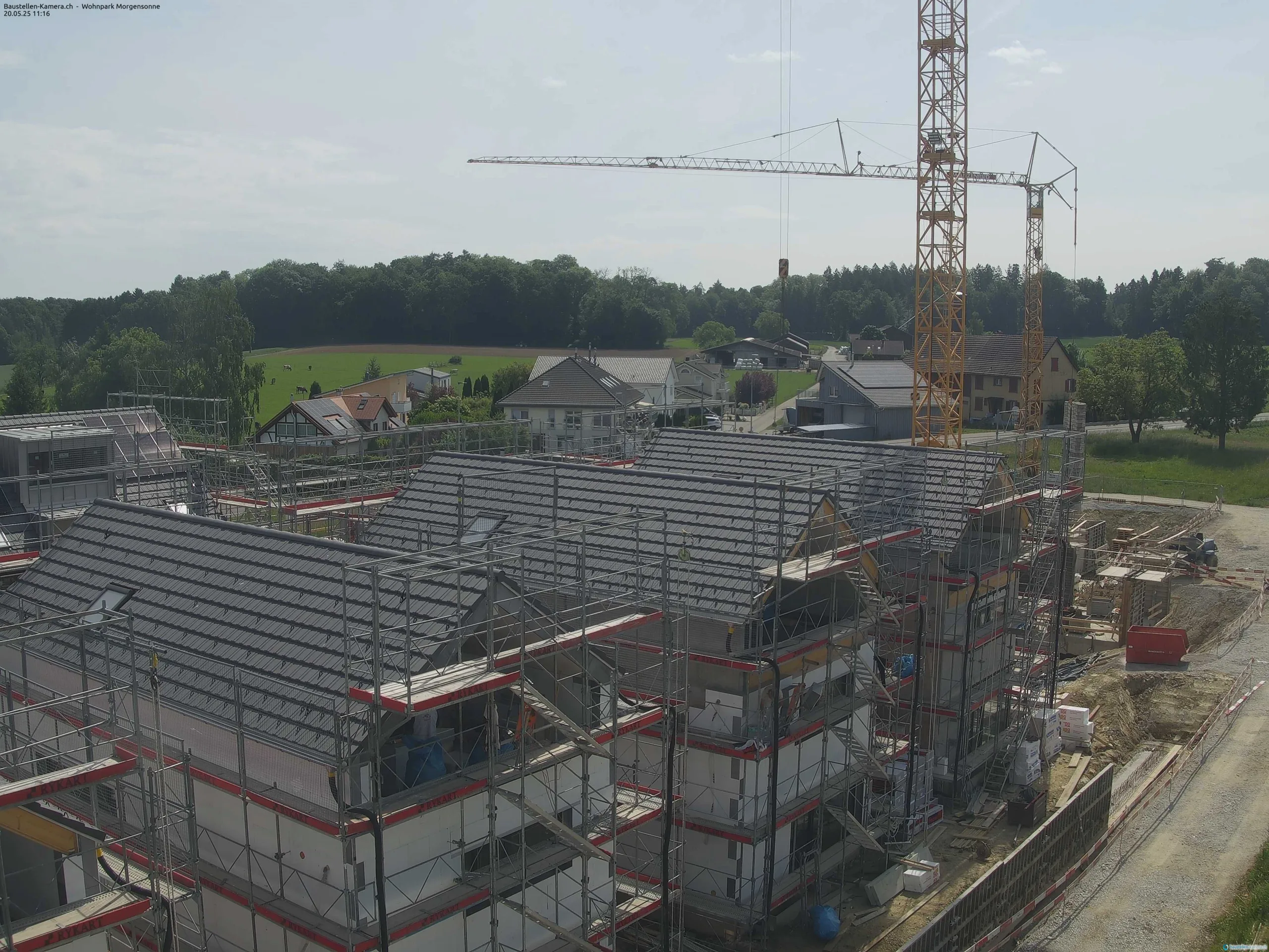 Morgensonne 20.05.2025 11:30:03