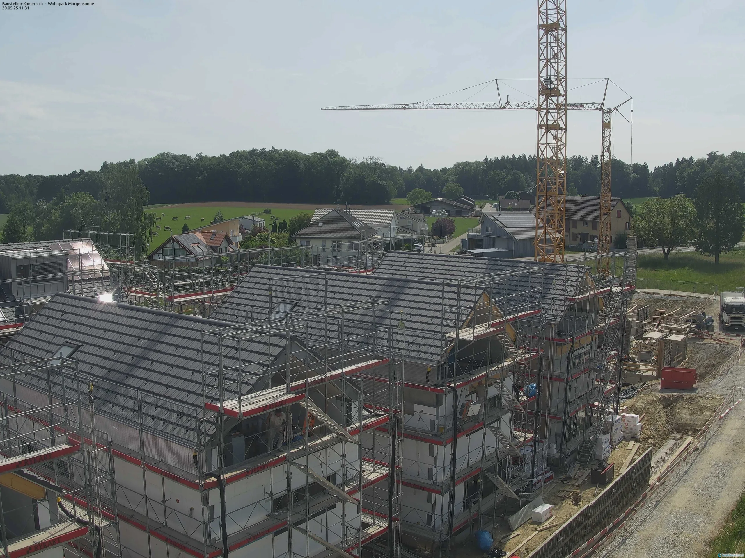Morgensonne 20.05.2025 11:45:02