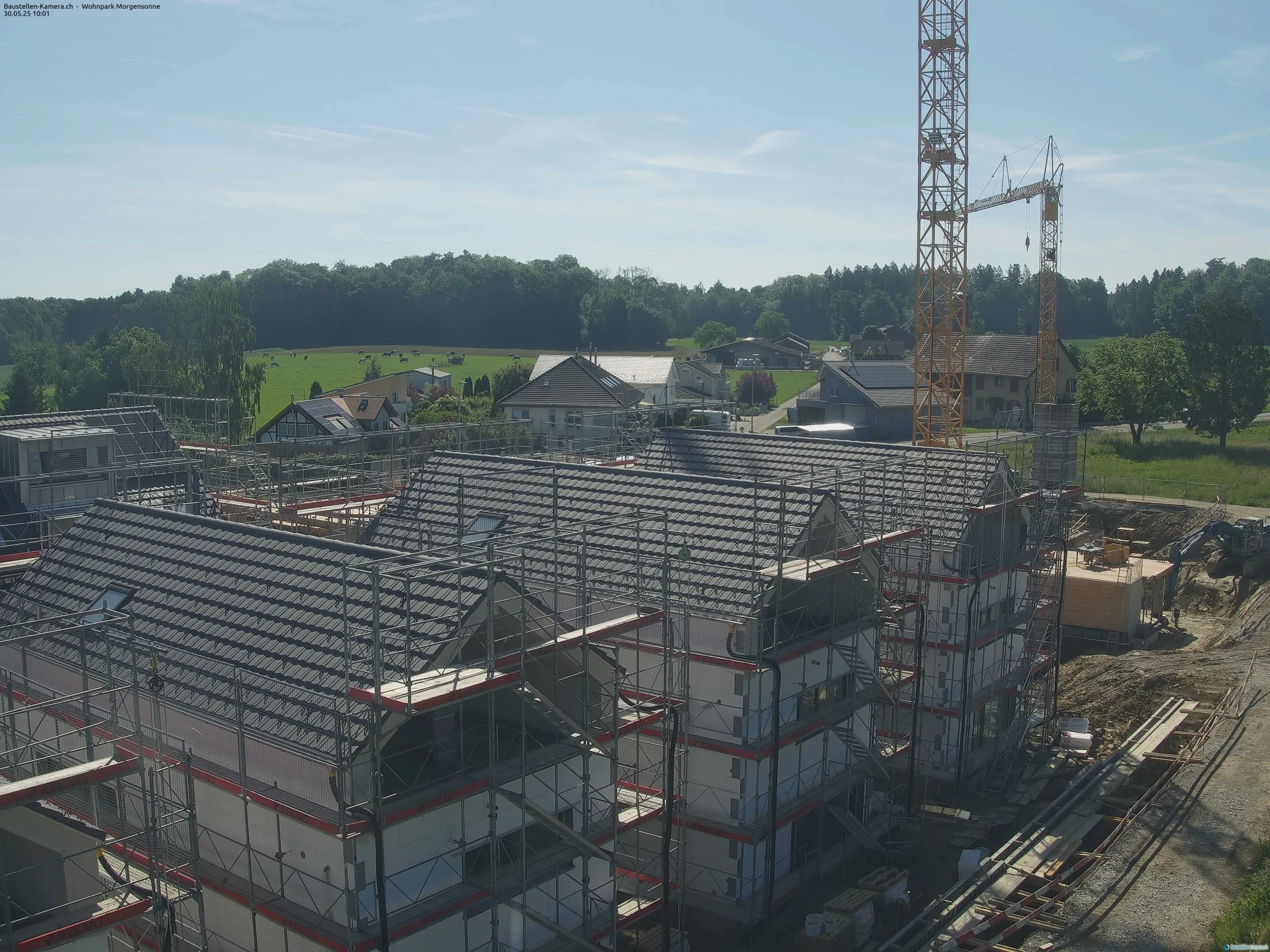Morgensonne 30.05.2025 10:15:02