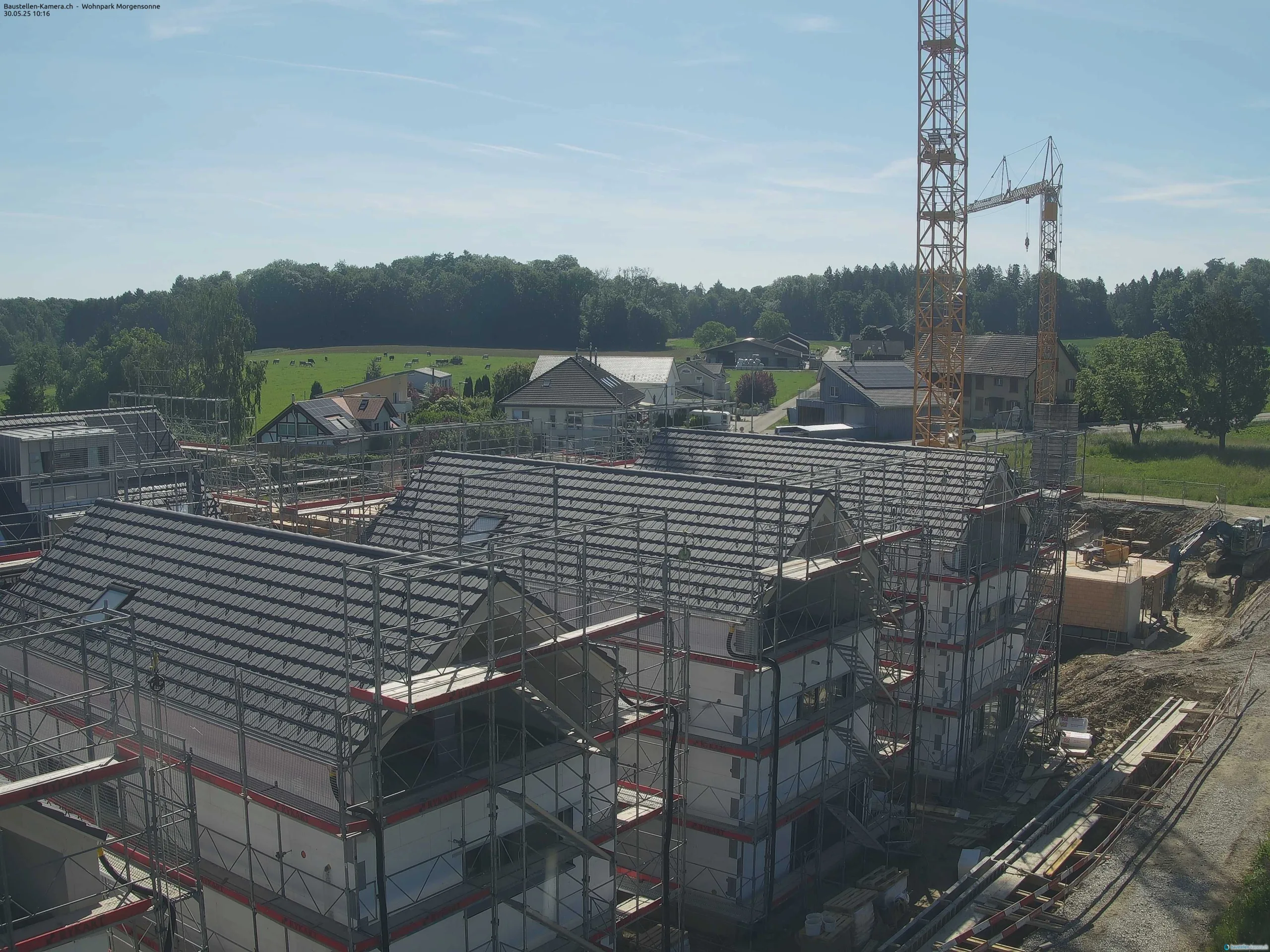 Morgensonne 30.05.2025 10:30:02