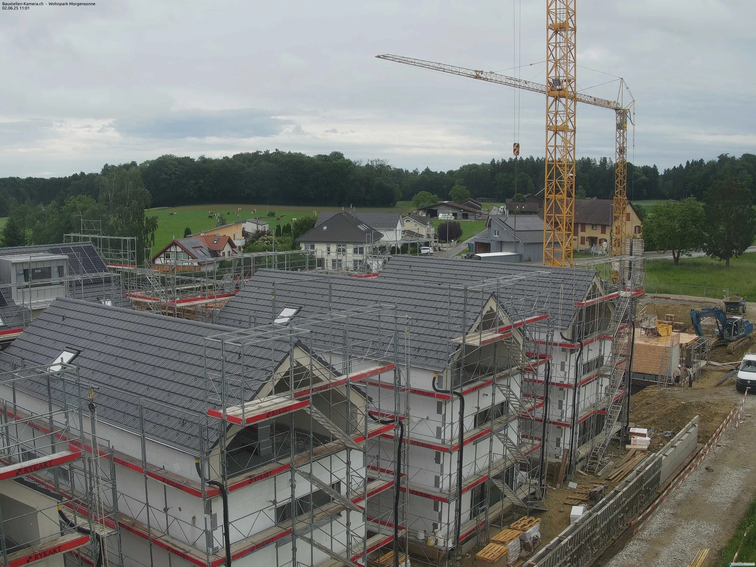 Morgensonne 02.06.2025 11:15:02