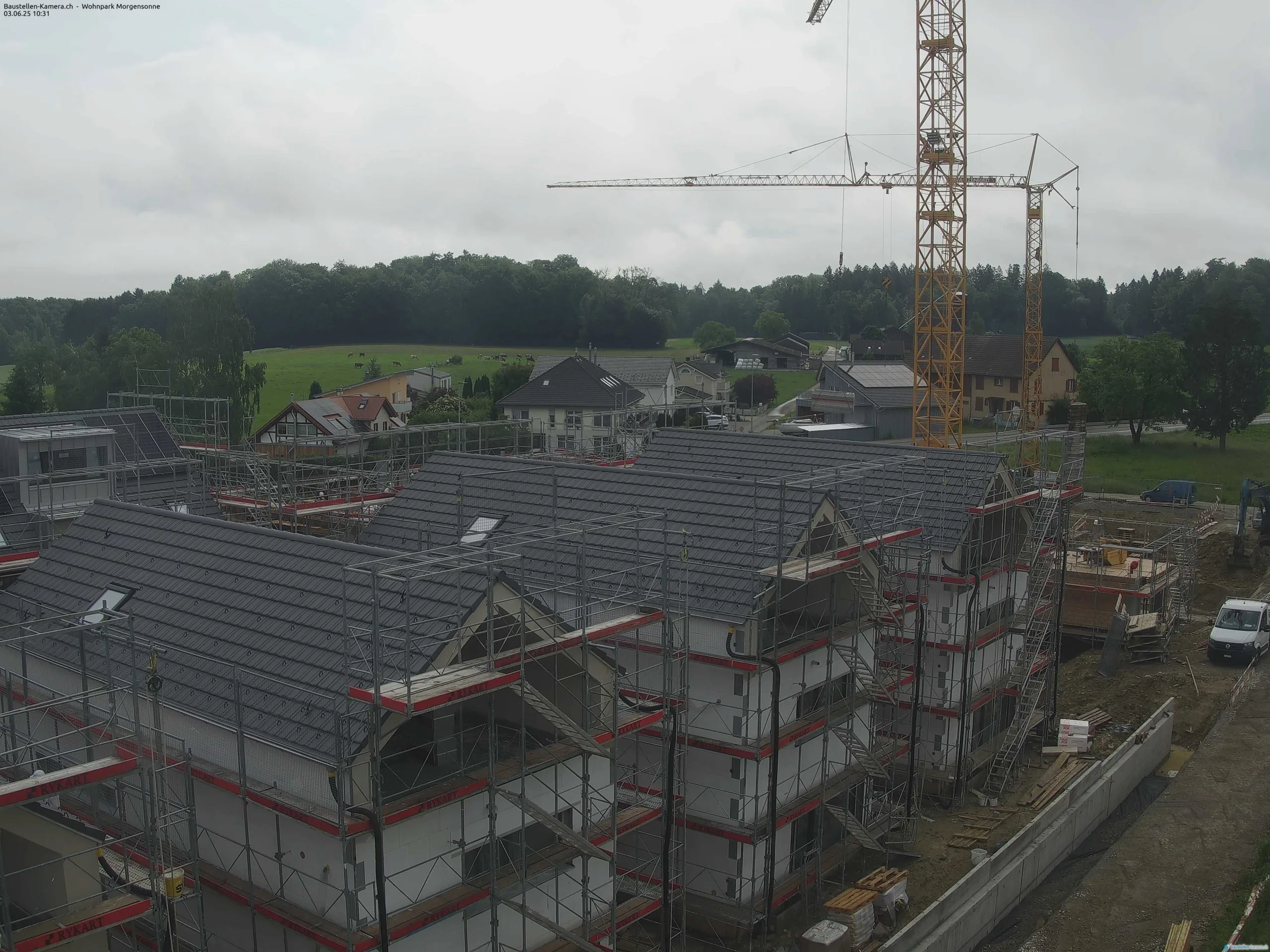 Morgensonne 03.06.2025 10:45:02