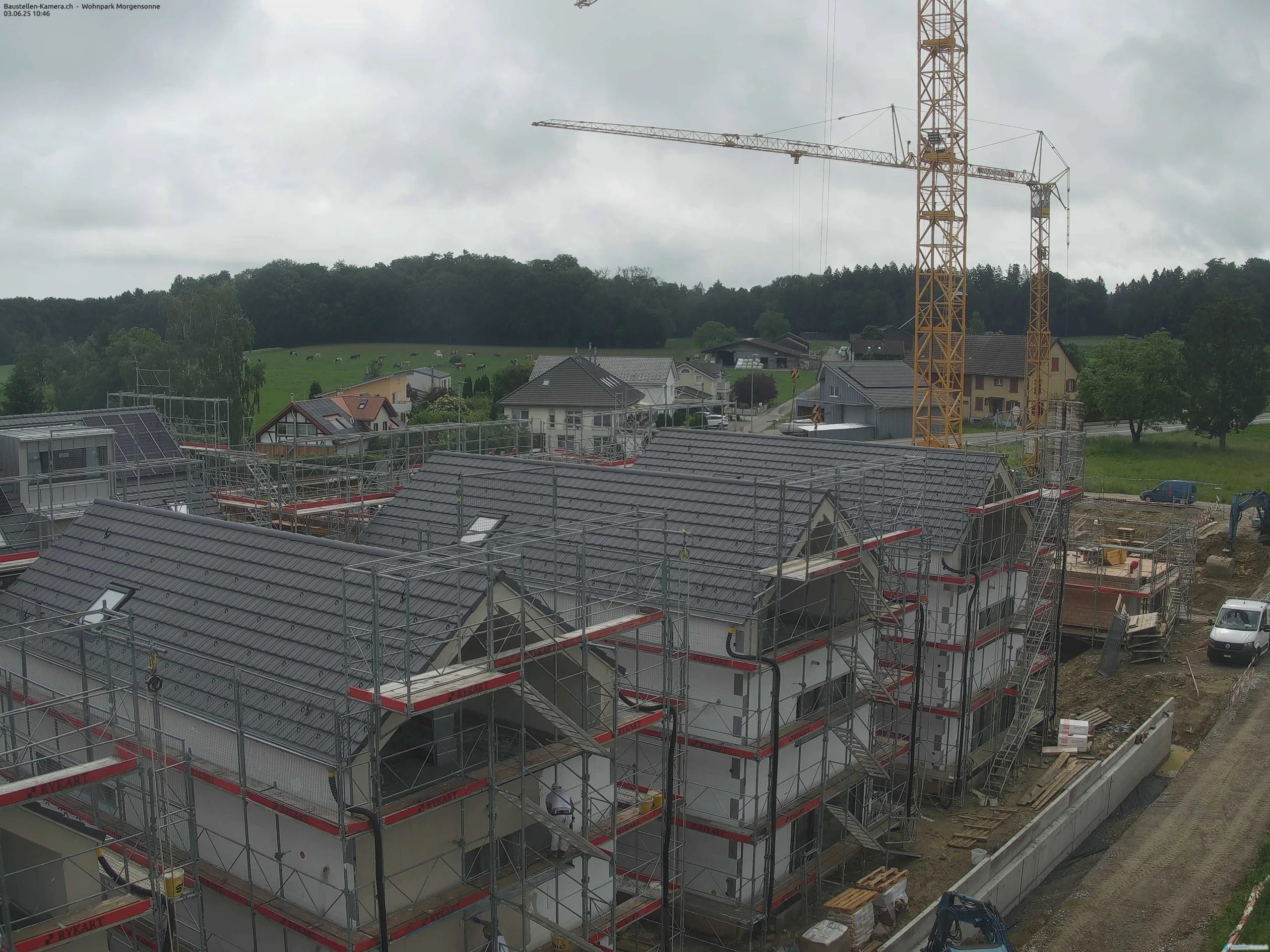 Morgensonne 03.06.2025 11:00:02
