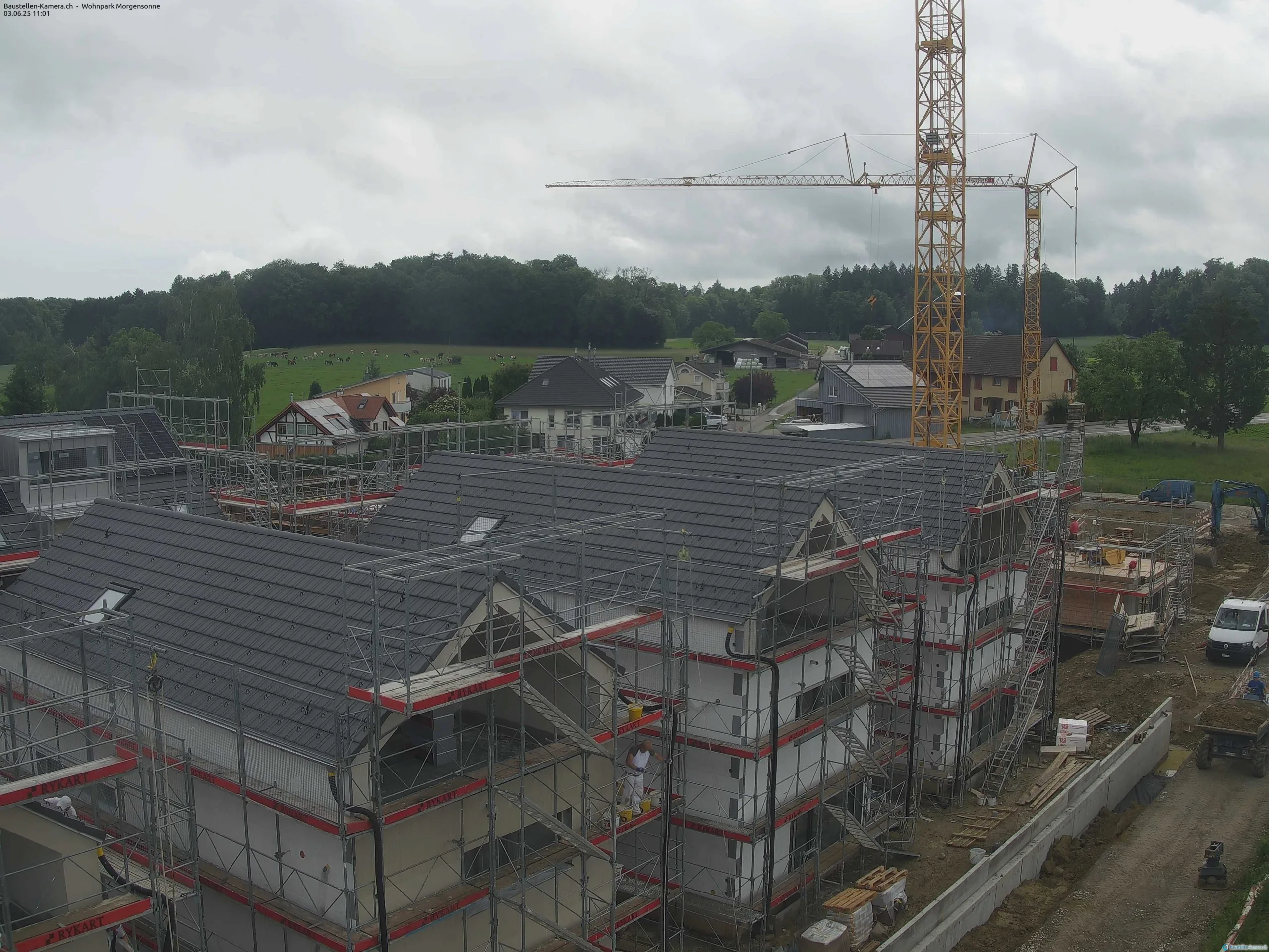 Morgensonne 03.06.2025 11:15:02