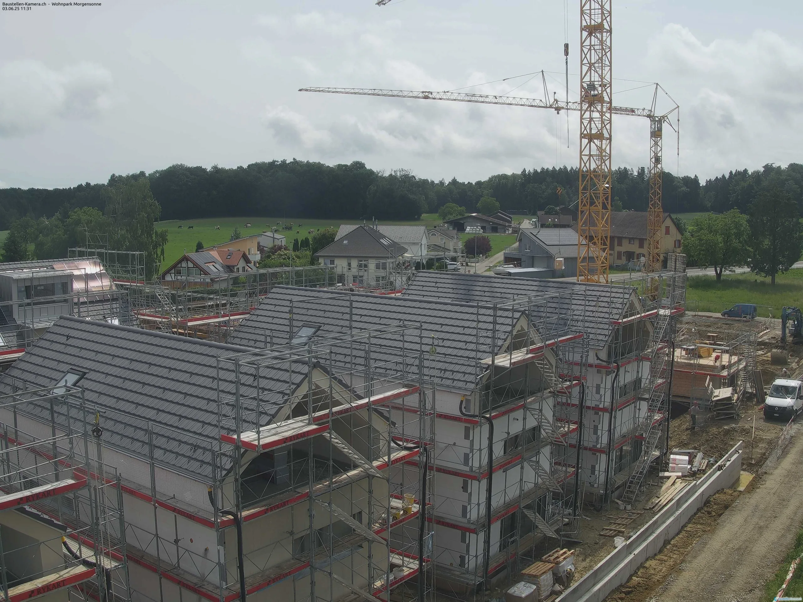Morgensonne 03.06.2025 11:45:02